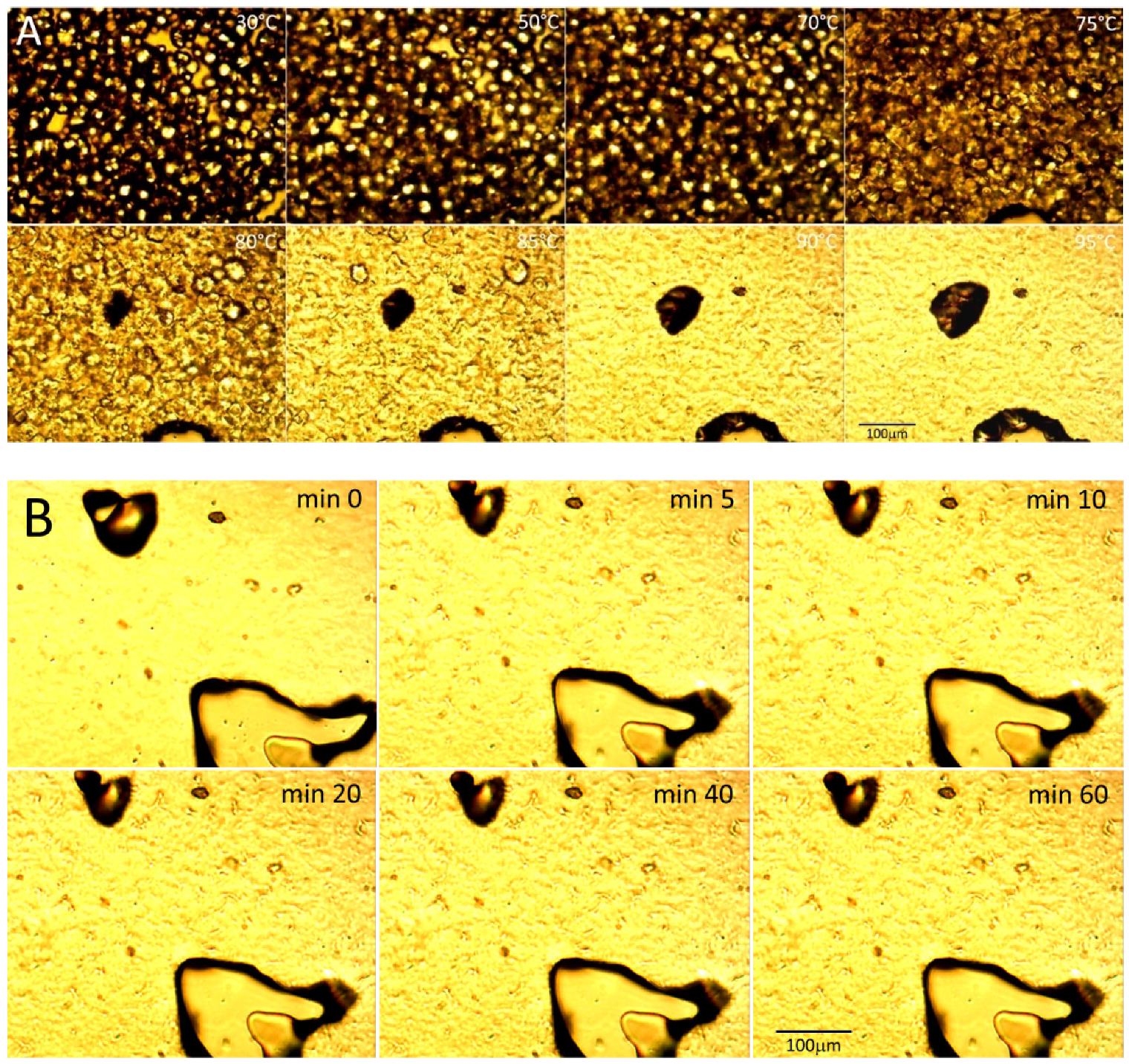 Ijms 23 00178 g002 550