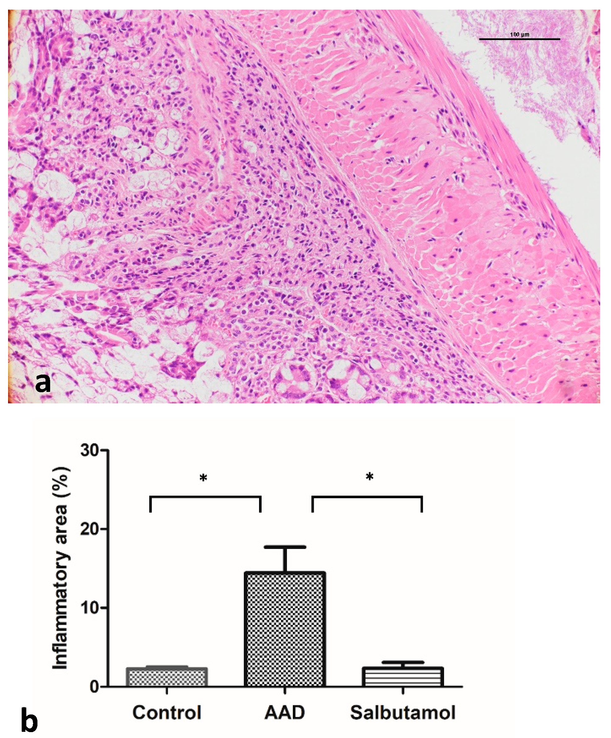 Ijms 23 00181 g002 550
