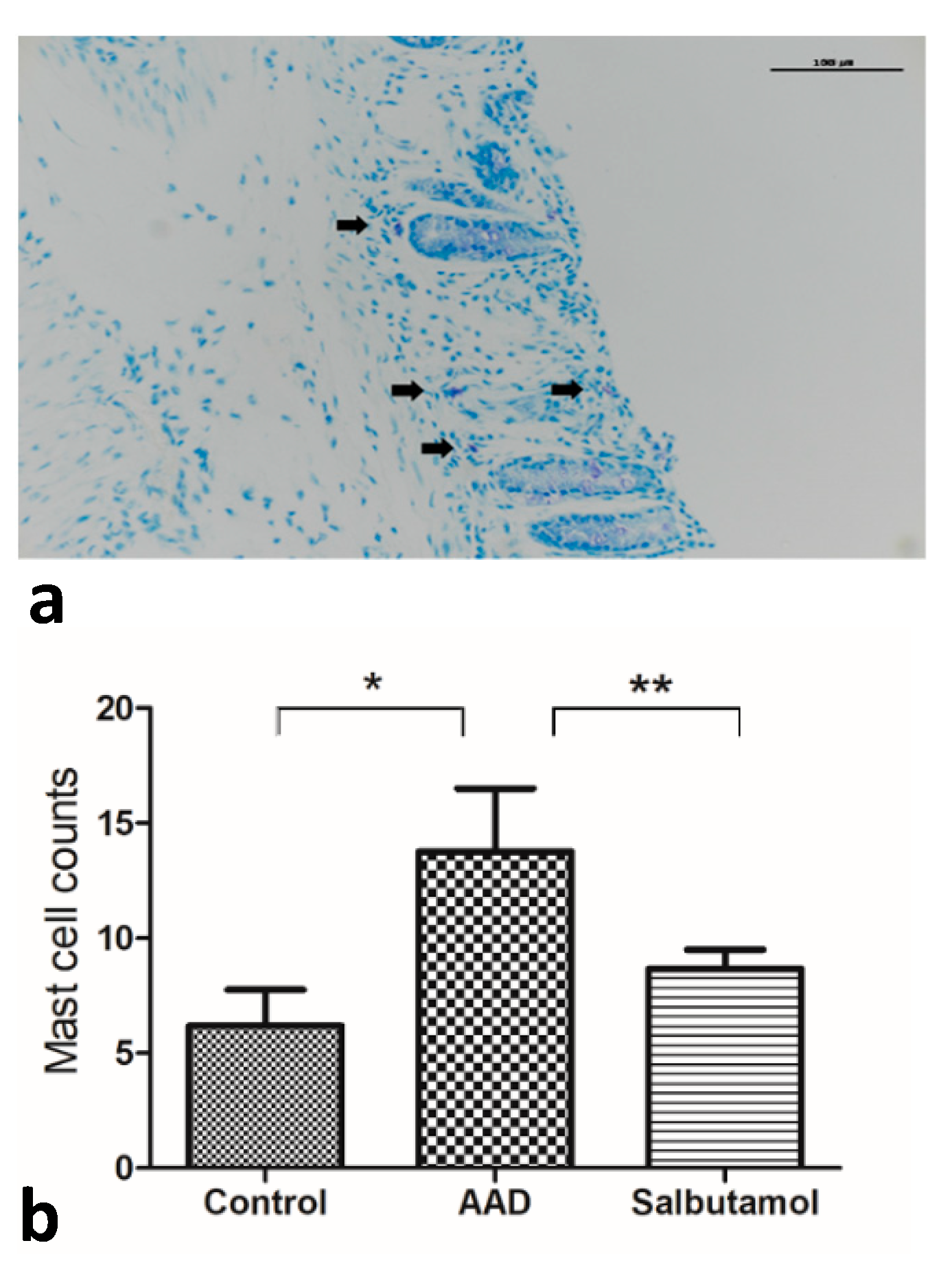 Ijms 23 00181 g004 550