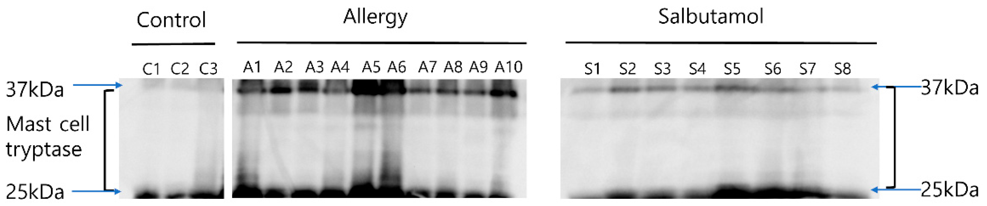 Ijms 23 00181 g005 550