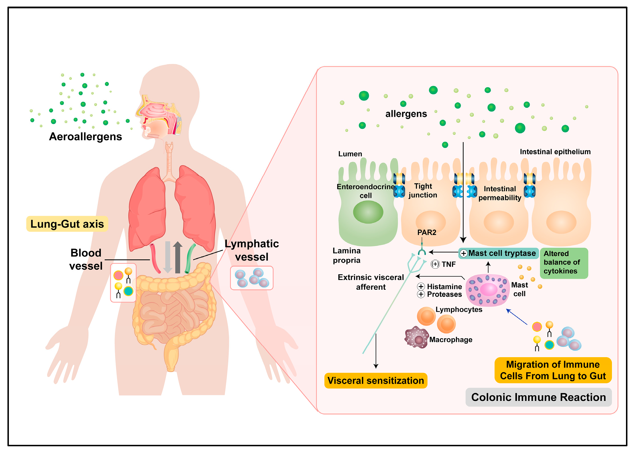 Ijms 23 00181 g006 550