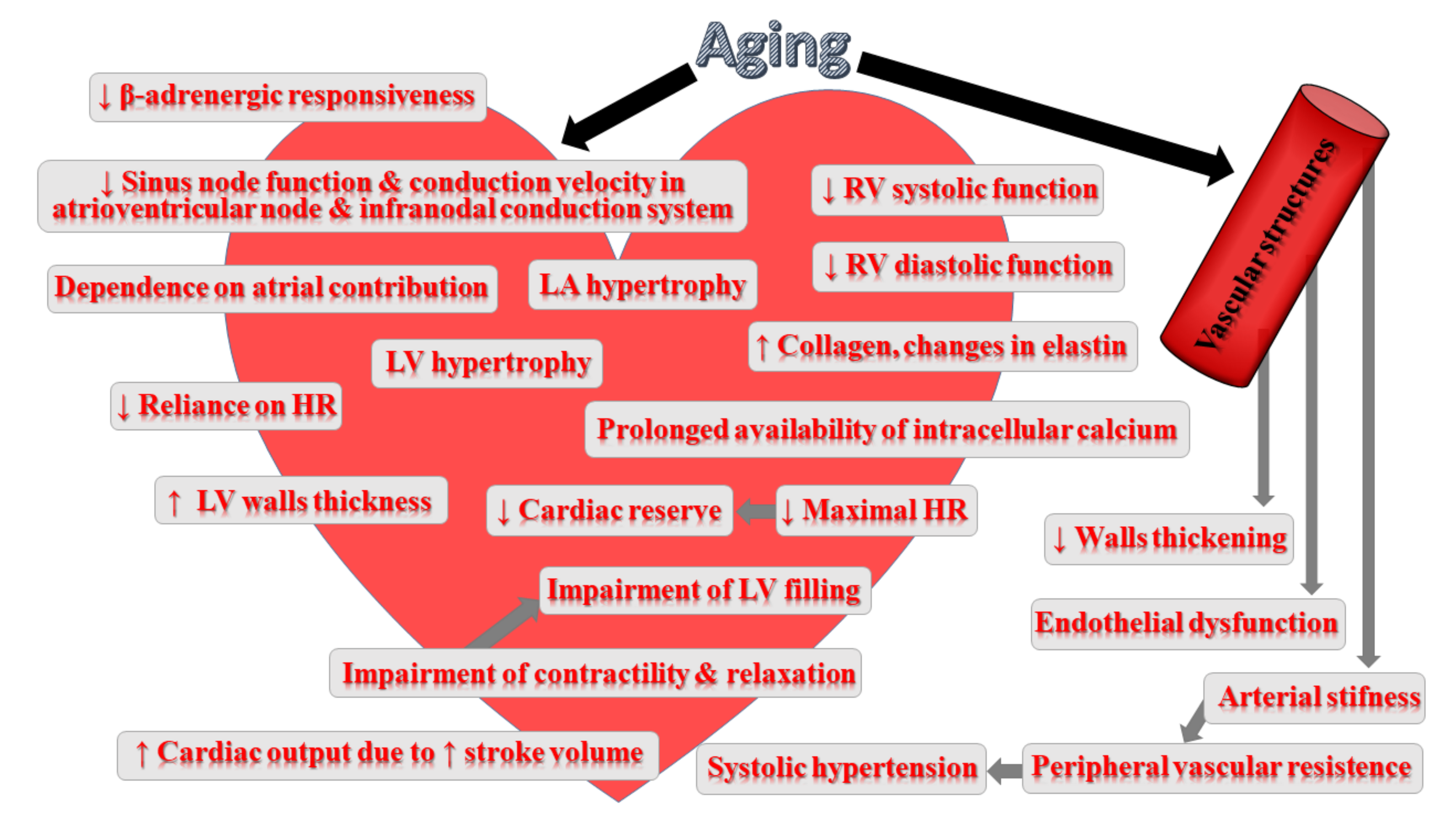 Ijms 23 00183 g002 Ijms 23 00183 g002