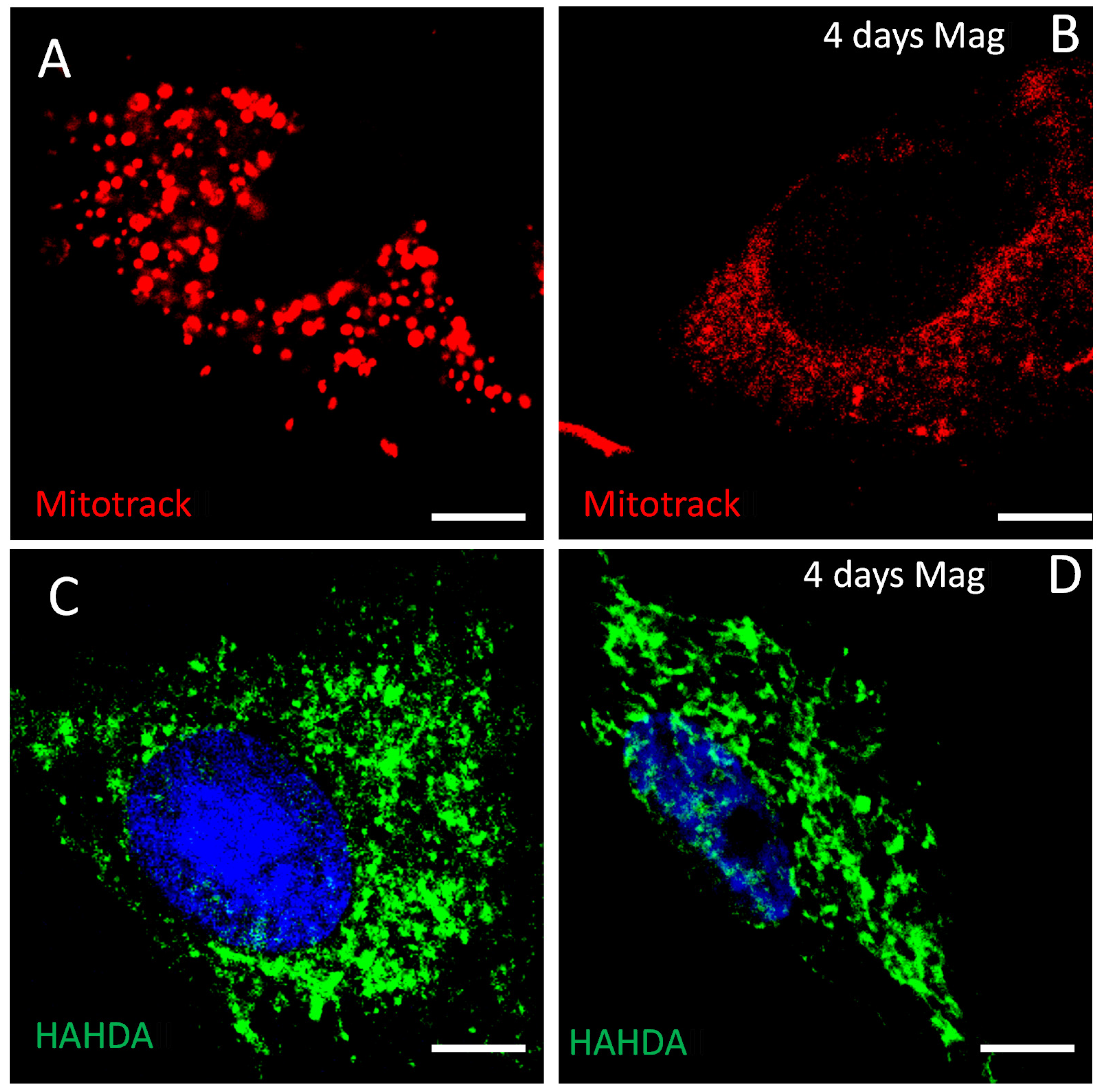 Ijms 23 00188 g005 550