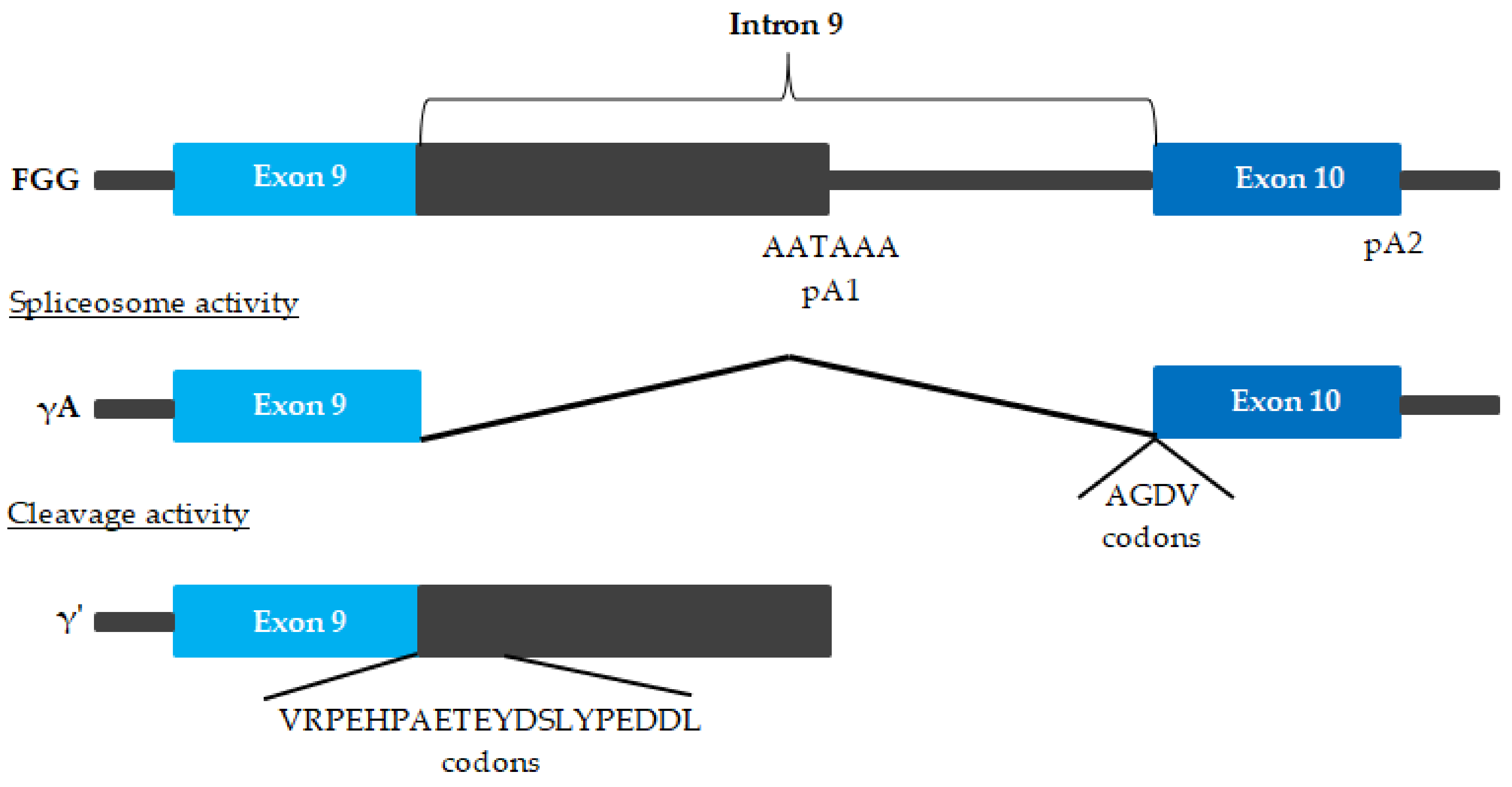 Ijms 23 00193 g003 Ijms 23 00193 g003