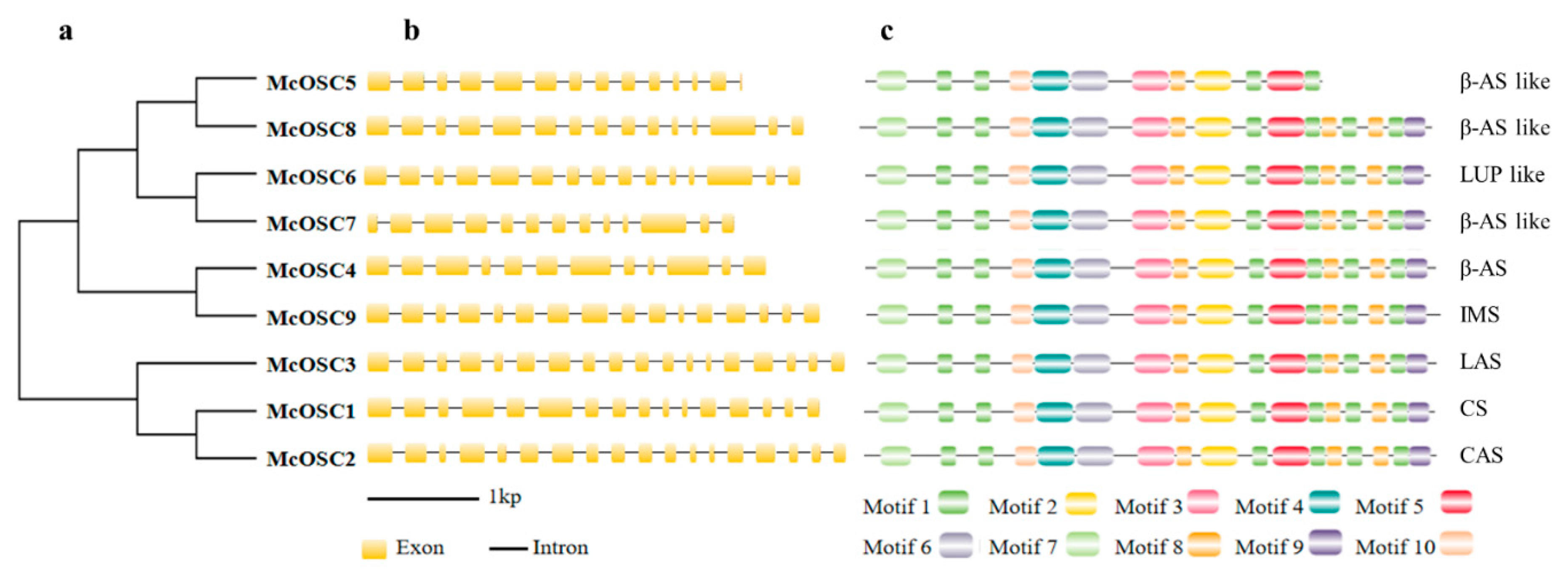 Ijms 23 00196 g001 550