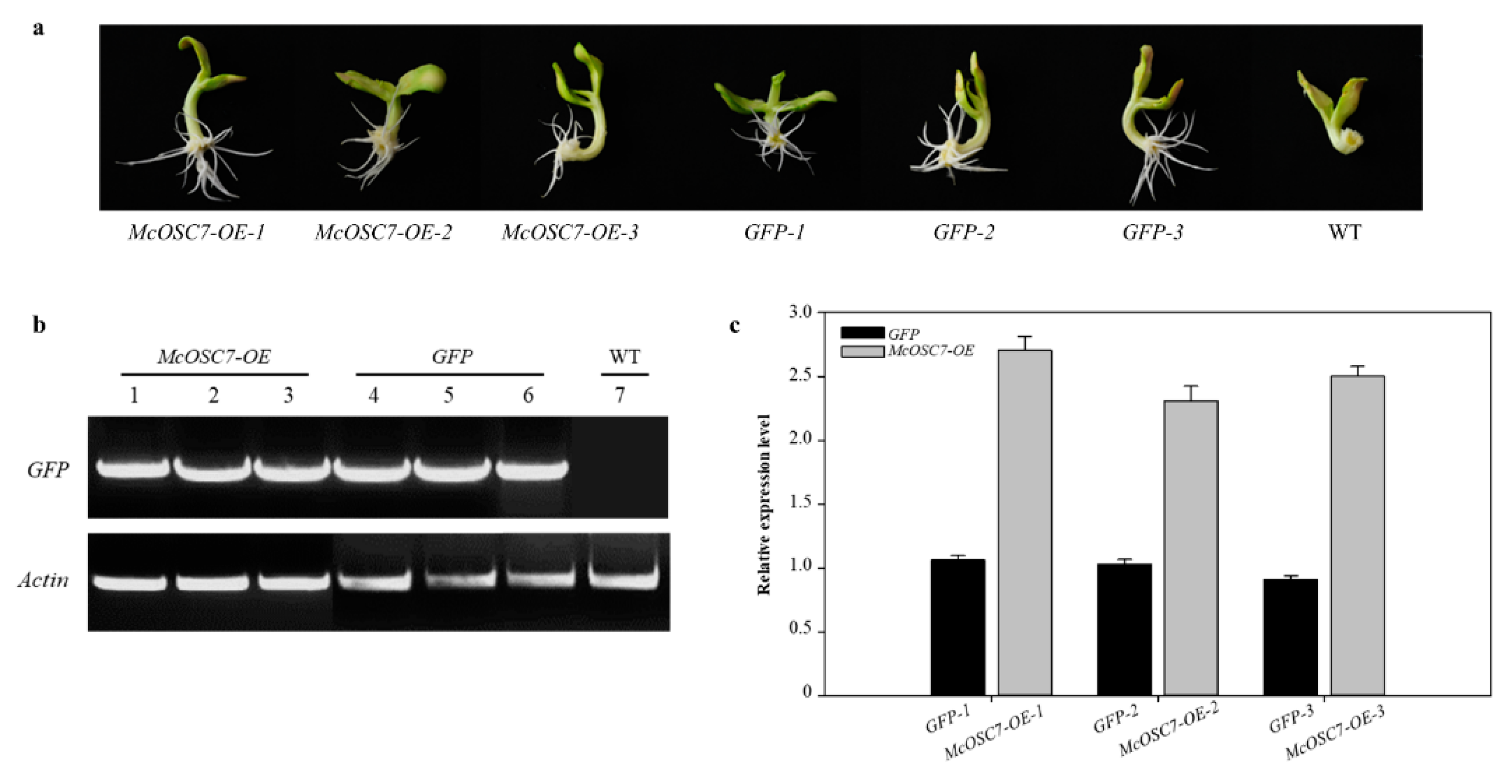 Ijms 23 00196 g003 550