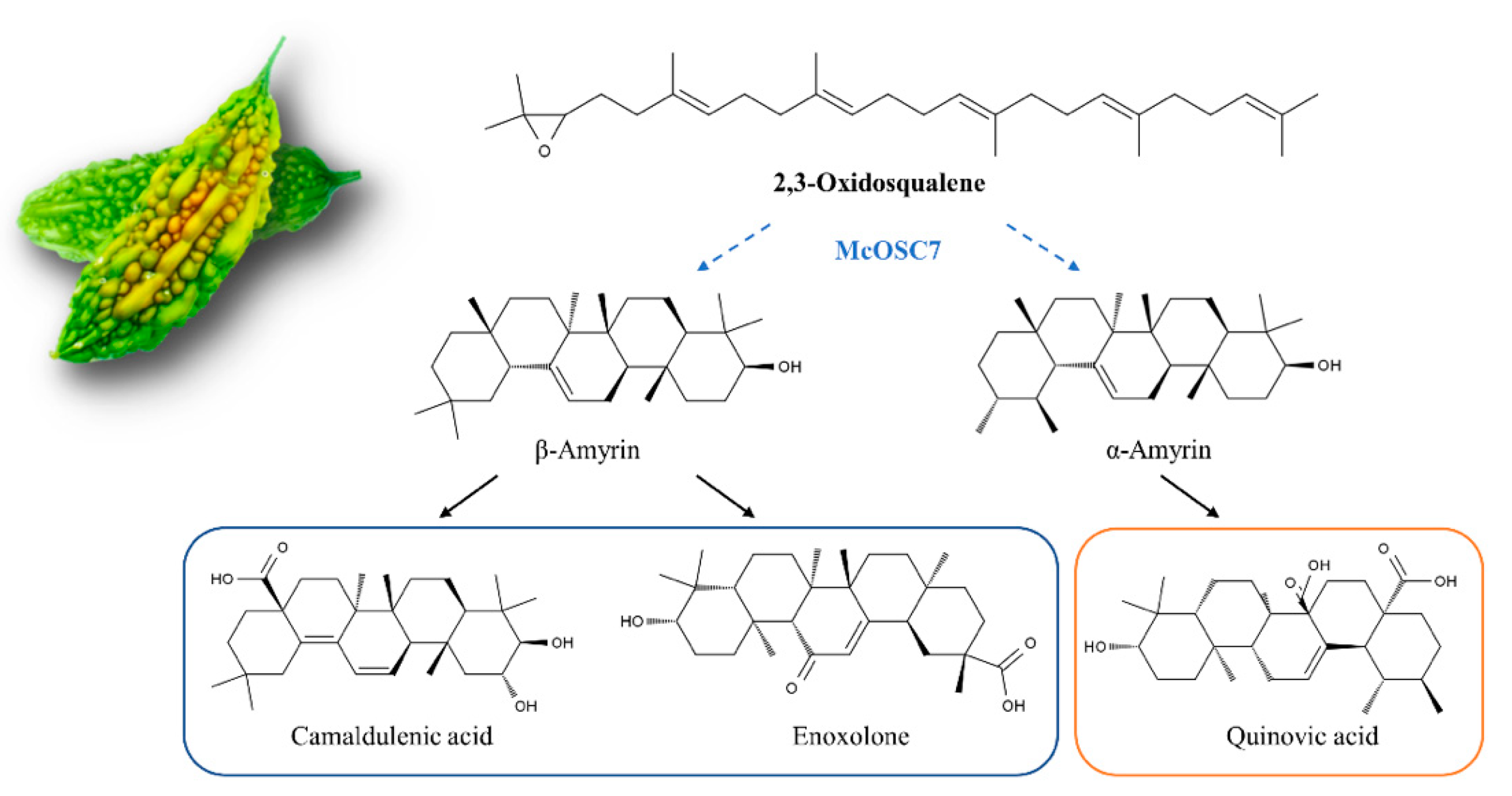 Ijms 23 00196 g005 550