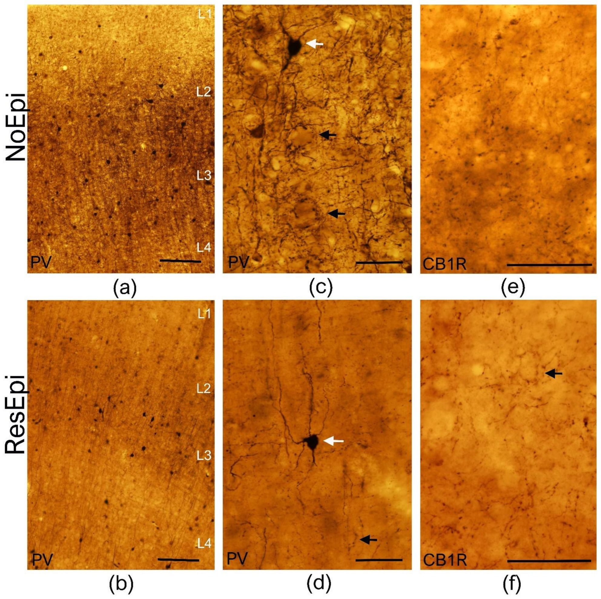 Ijms 23 00202 g001 550