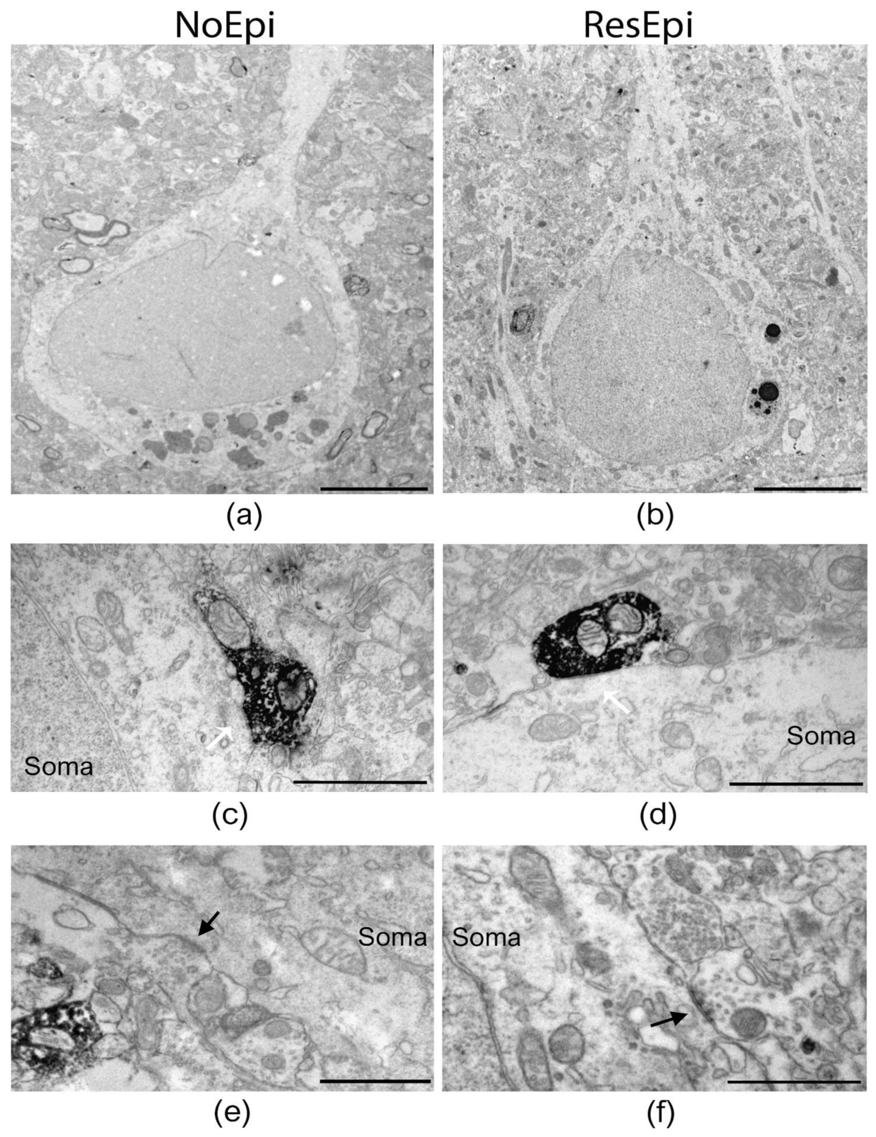 Ijms 23 00202 g002 550