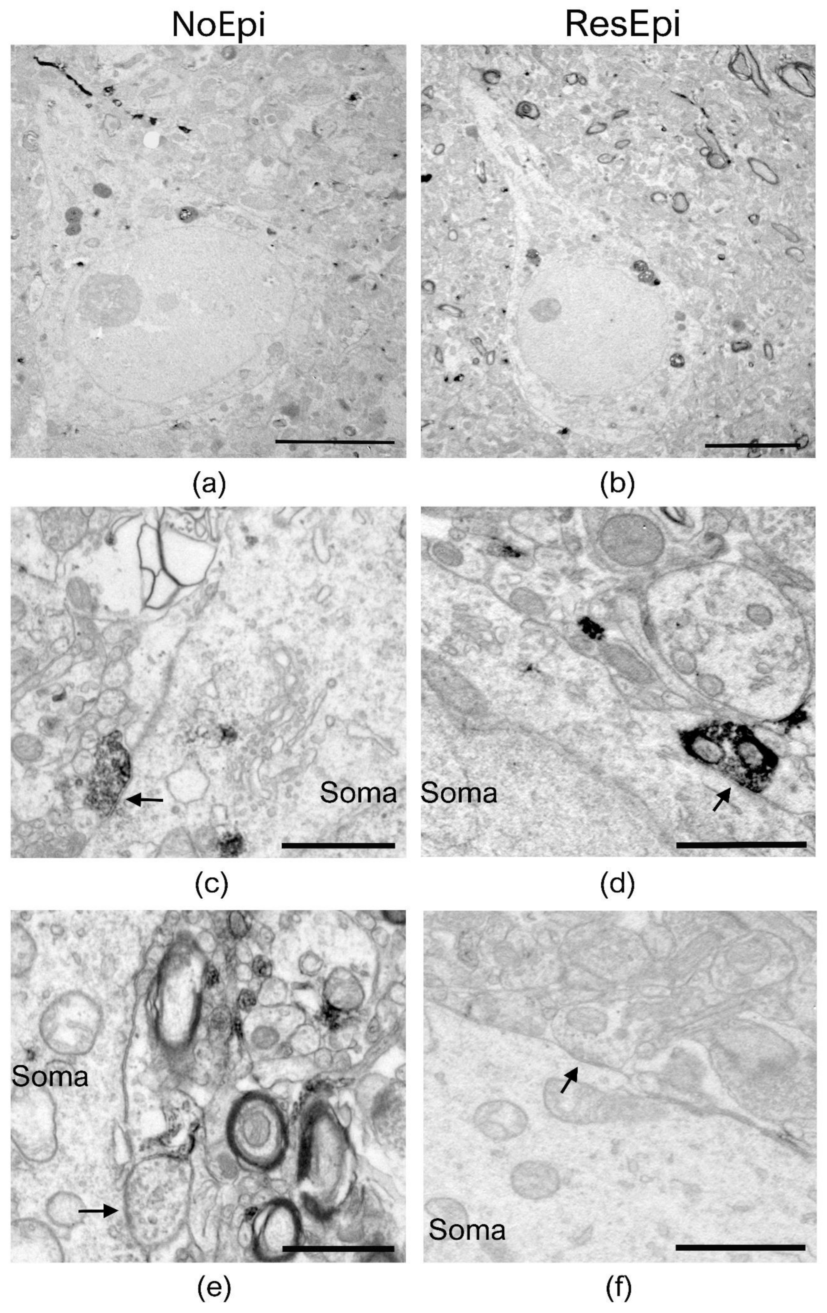 Ijms 23 00202 g003 550