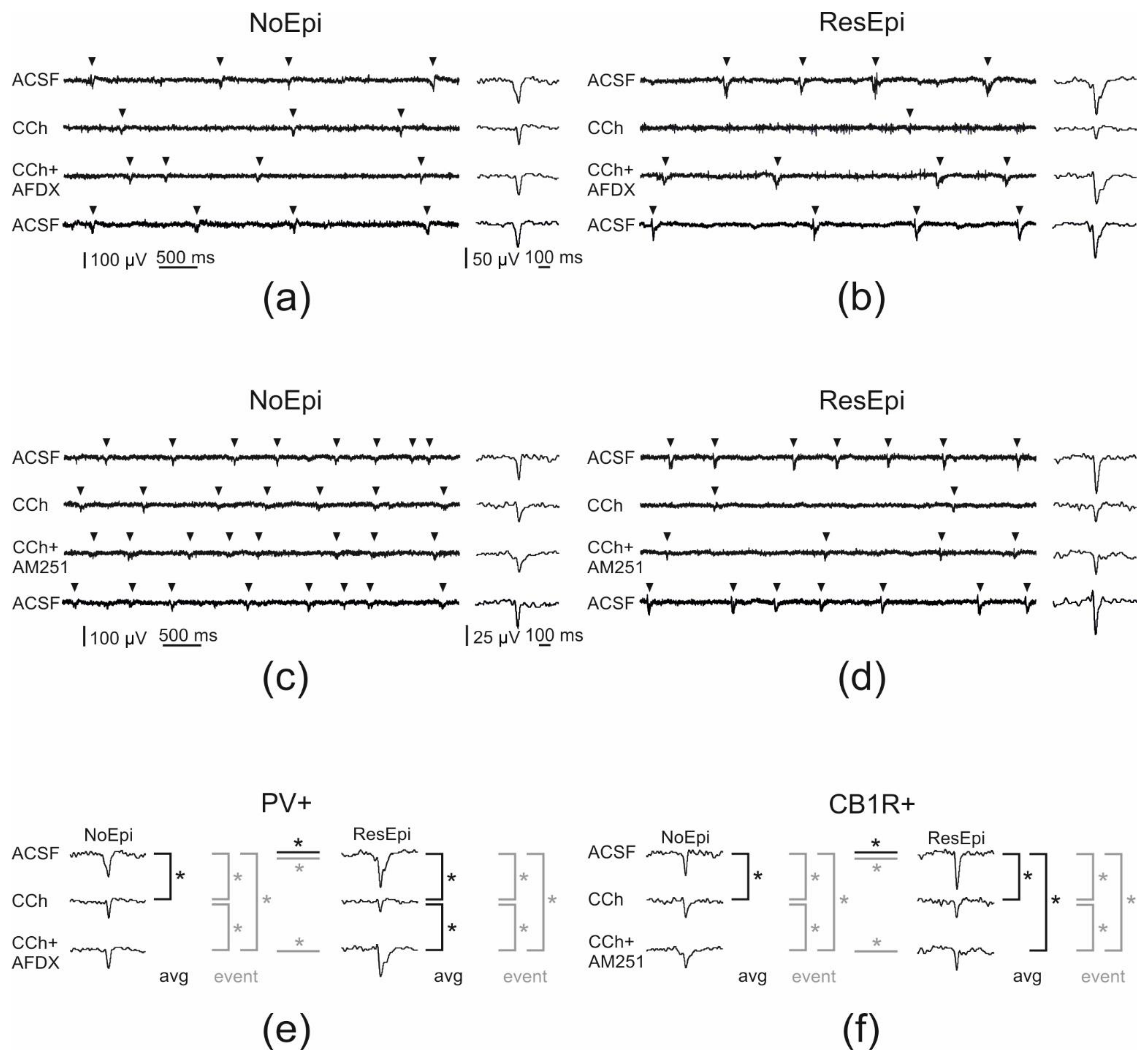 Ijms 23 00202 g005 550