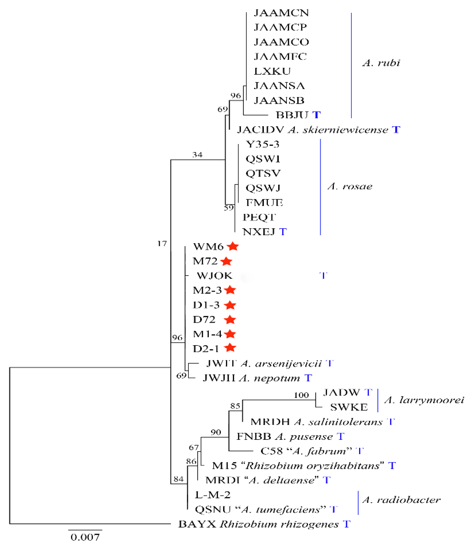 Ijms 23 00207 g005 Ijms 23 00207 g005