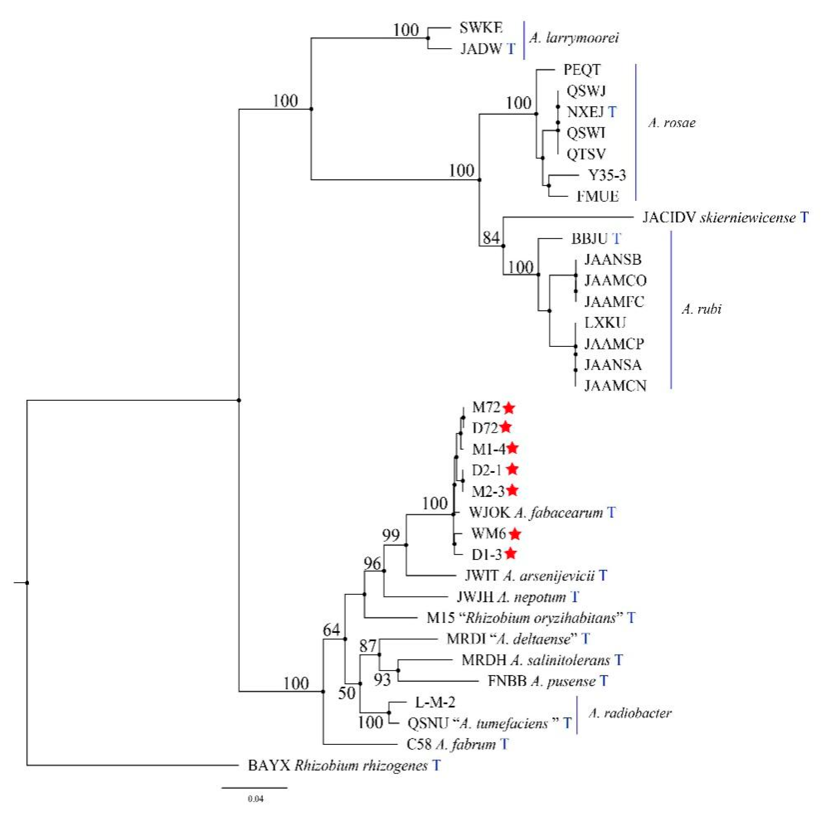 Ijms 23 00207 g006 Ijms 23 00207 g006