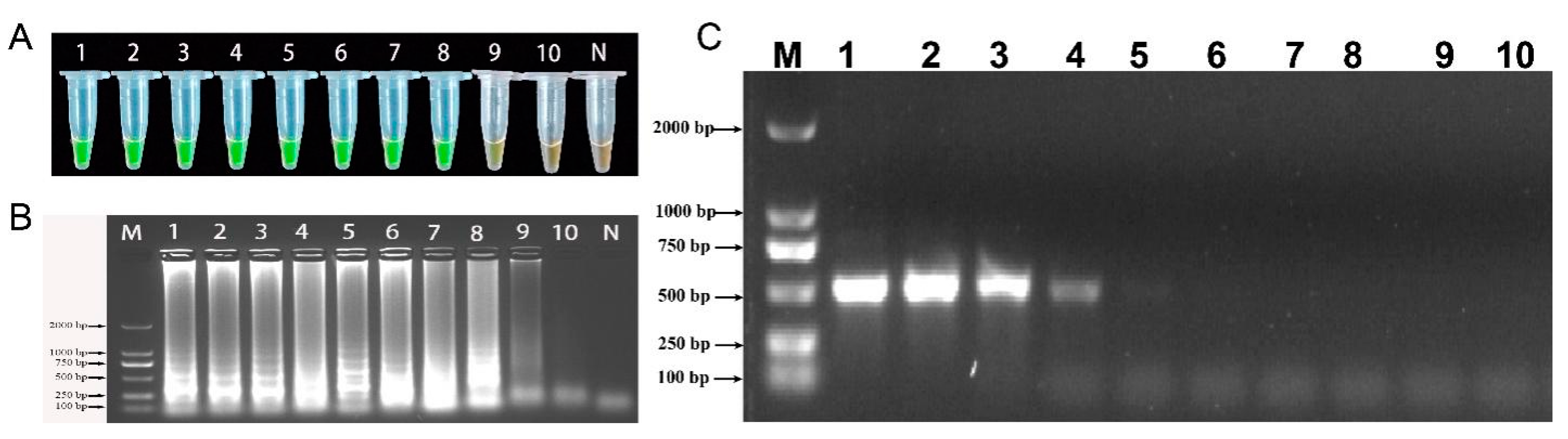 Ijms 23 00207 g009 Ijms 23 00207 g009