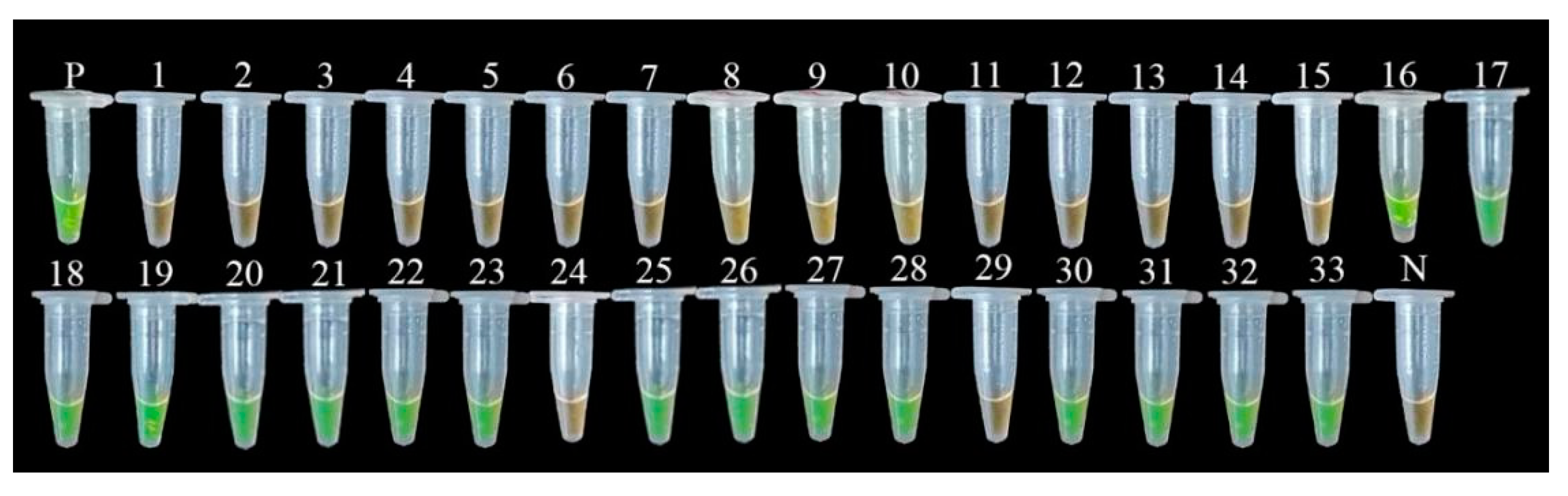 Ijms 23 00207 g010 Ijms 23 00207 g010