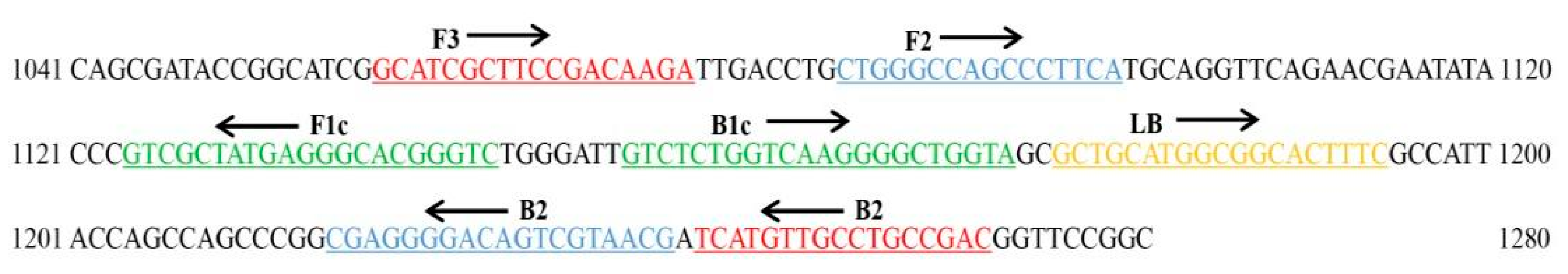 Ijms 23 00207 g011 Ijms 23 00207 g011