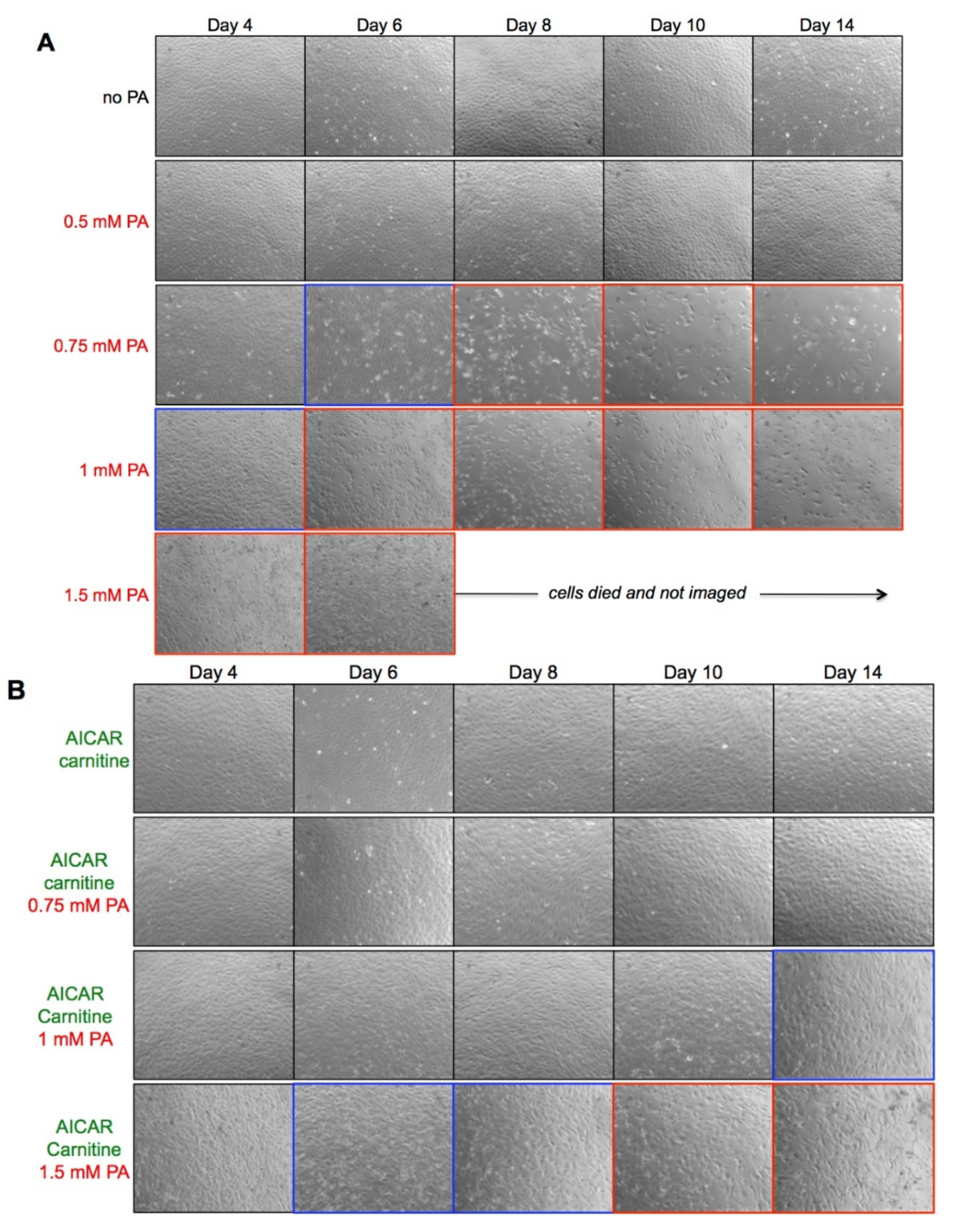 Ijms 23 00211 g001 550