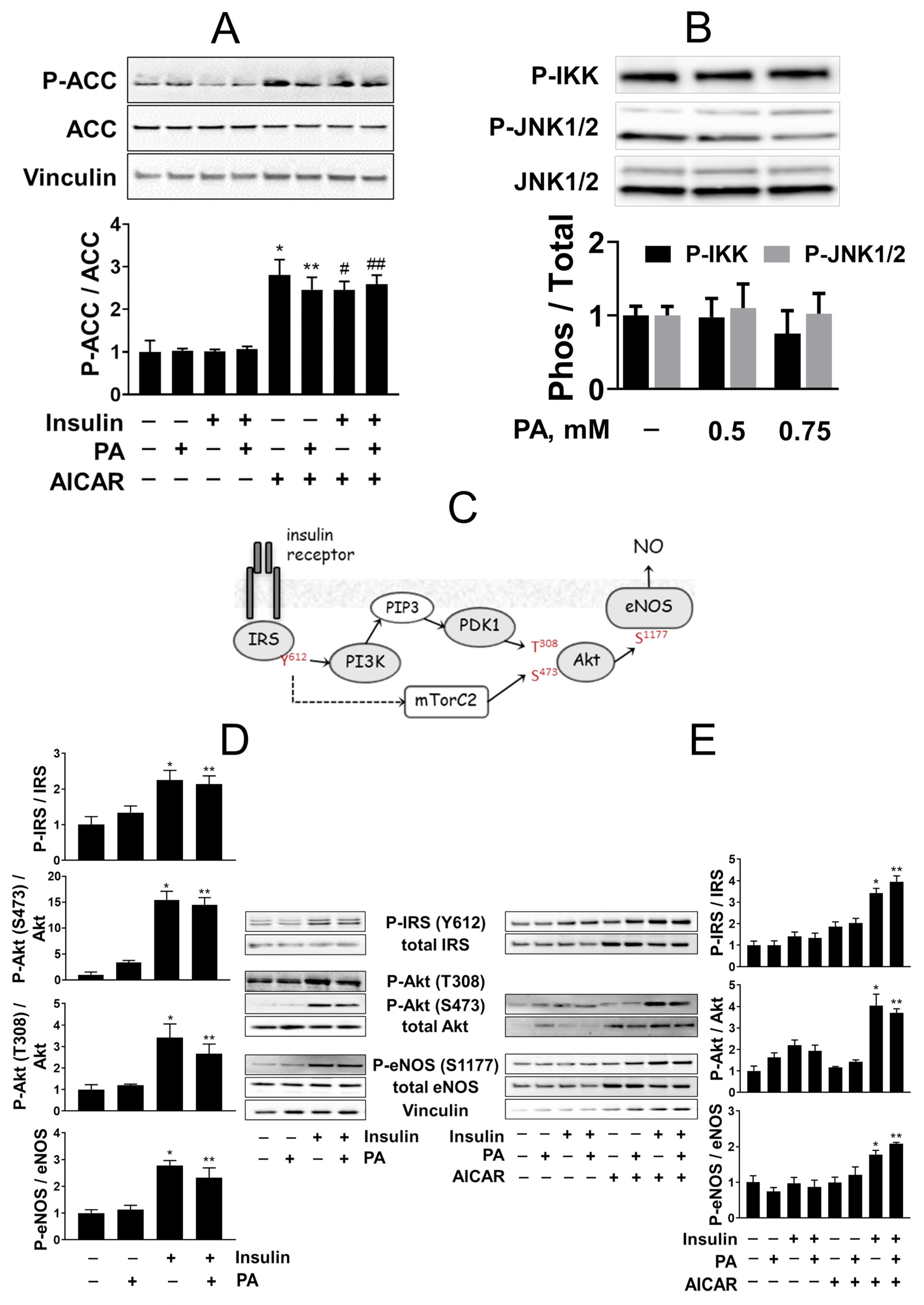 Ijms 23 00211 g003 550