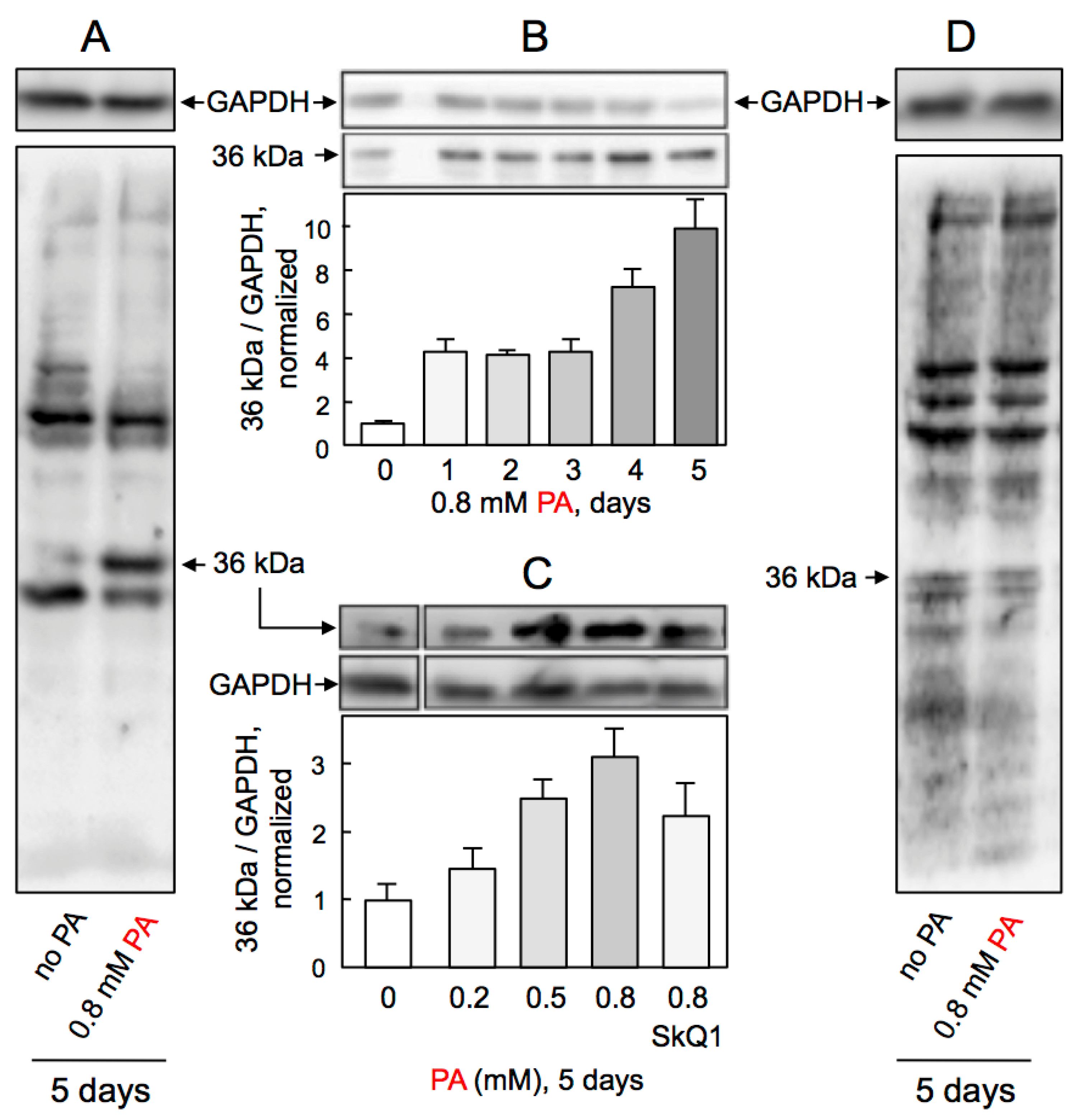 Ijms 23 00211 g006 550