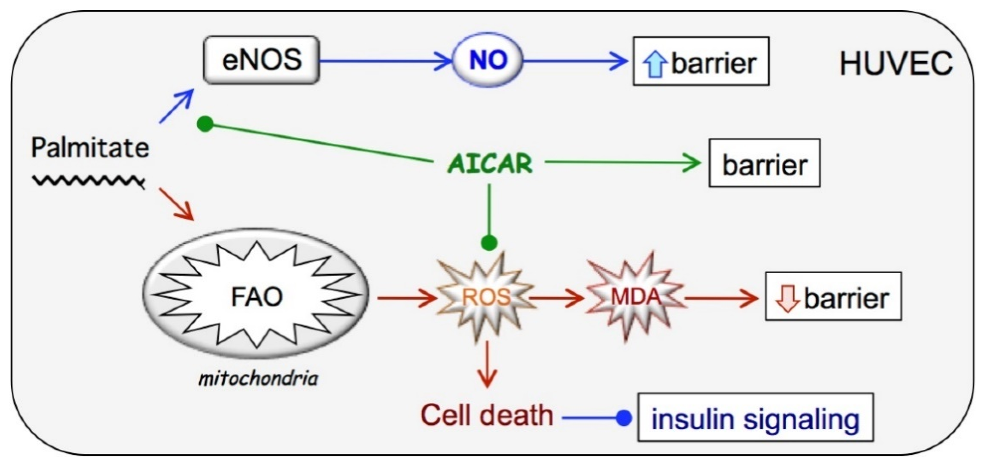 Ijms 23 00211 g007 550