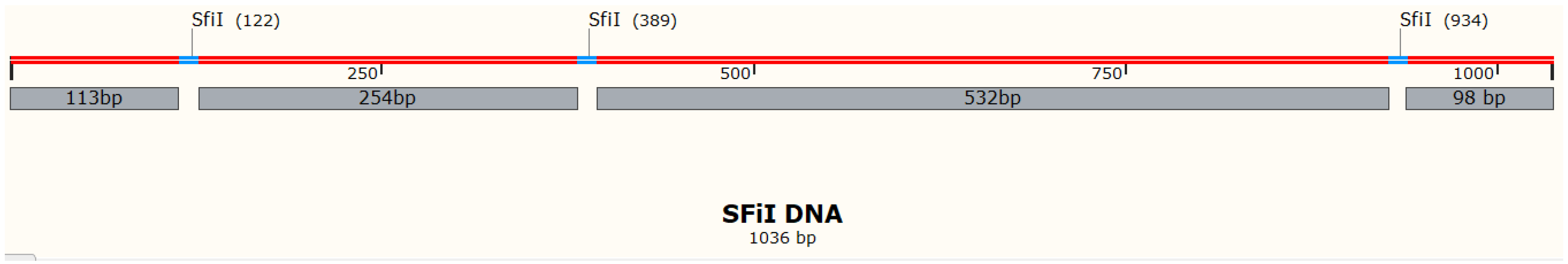 Ijms 23 00212 g001 Ijms 23 00212 g001