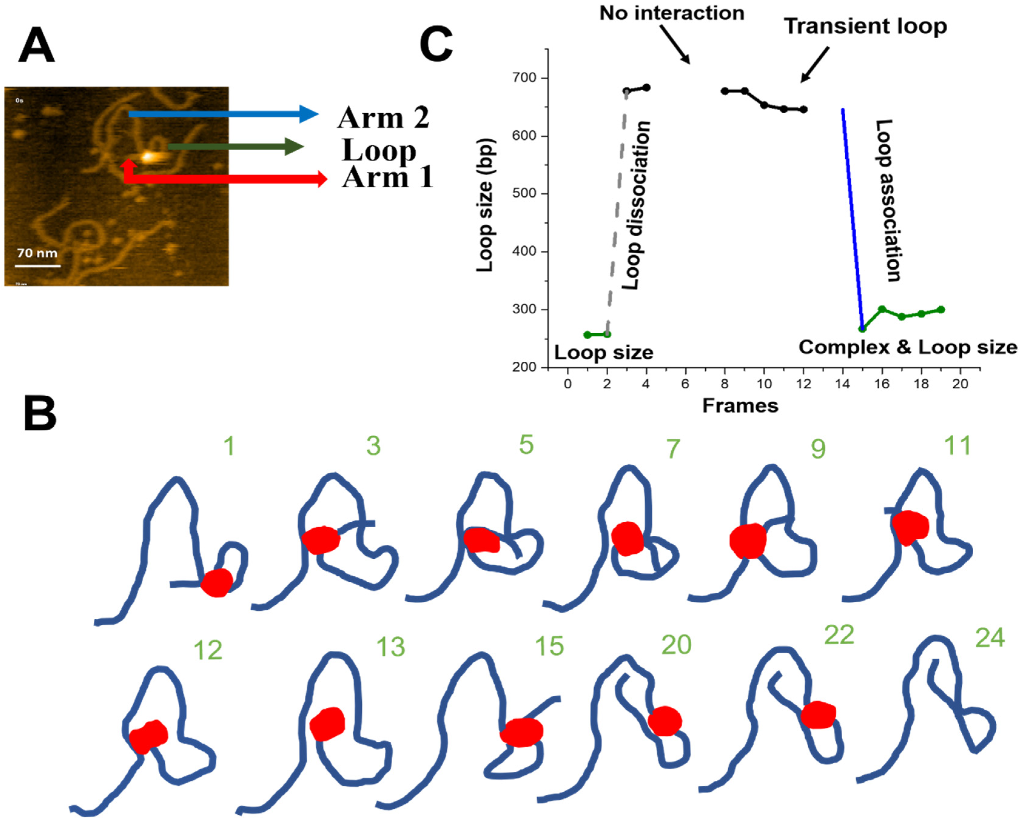 Ijms 23 00212 g005 Ijms 23 00212 g005
