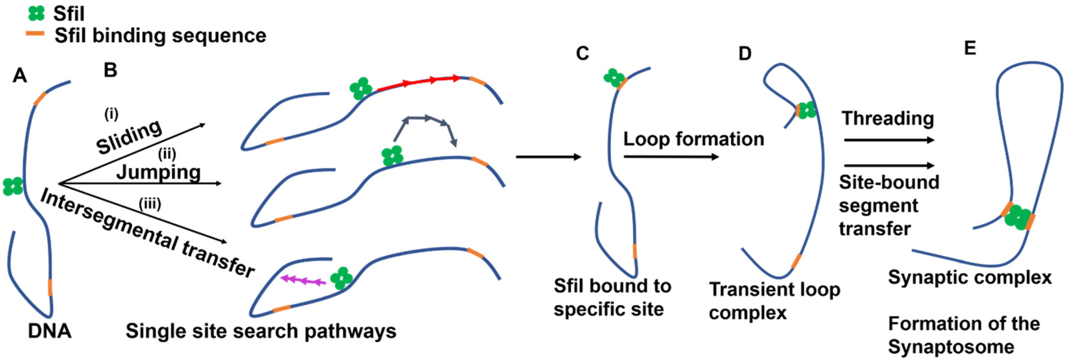 Ijms 23 00212 g007 Ijms 23 00212 g007