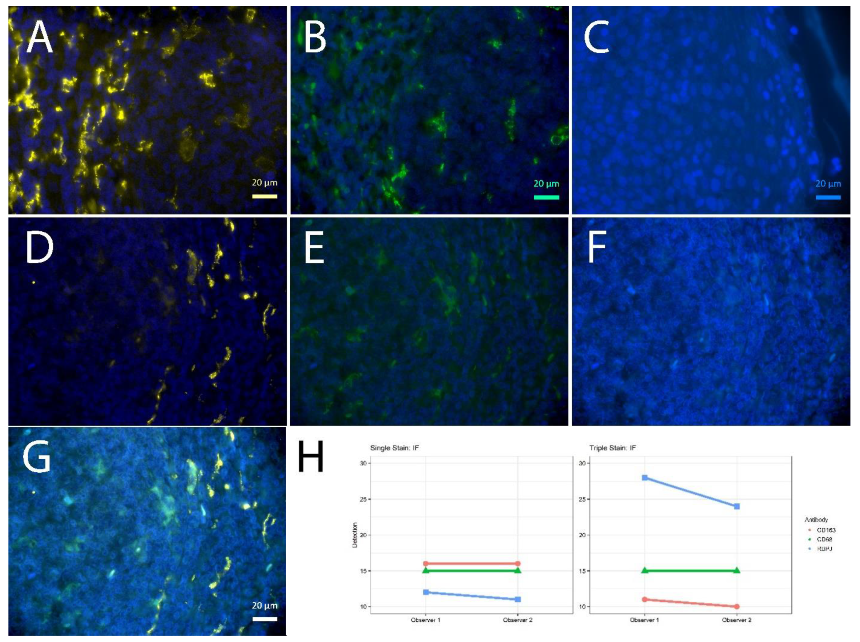 Ijms 23 00223 g003 550