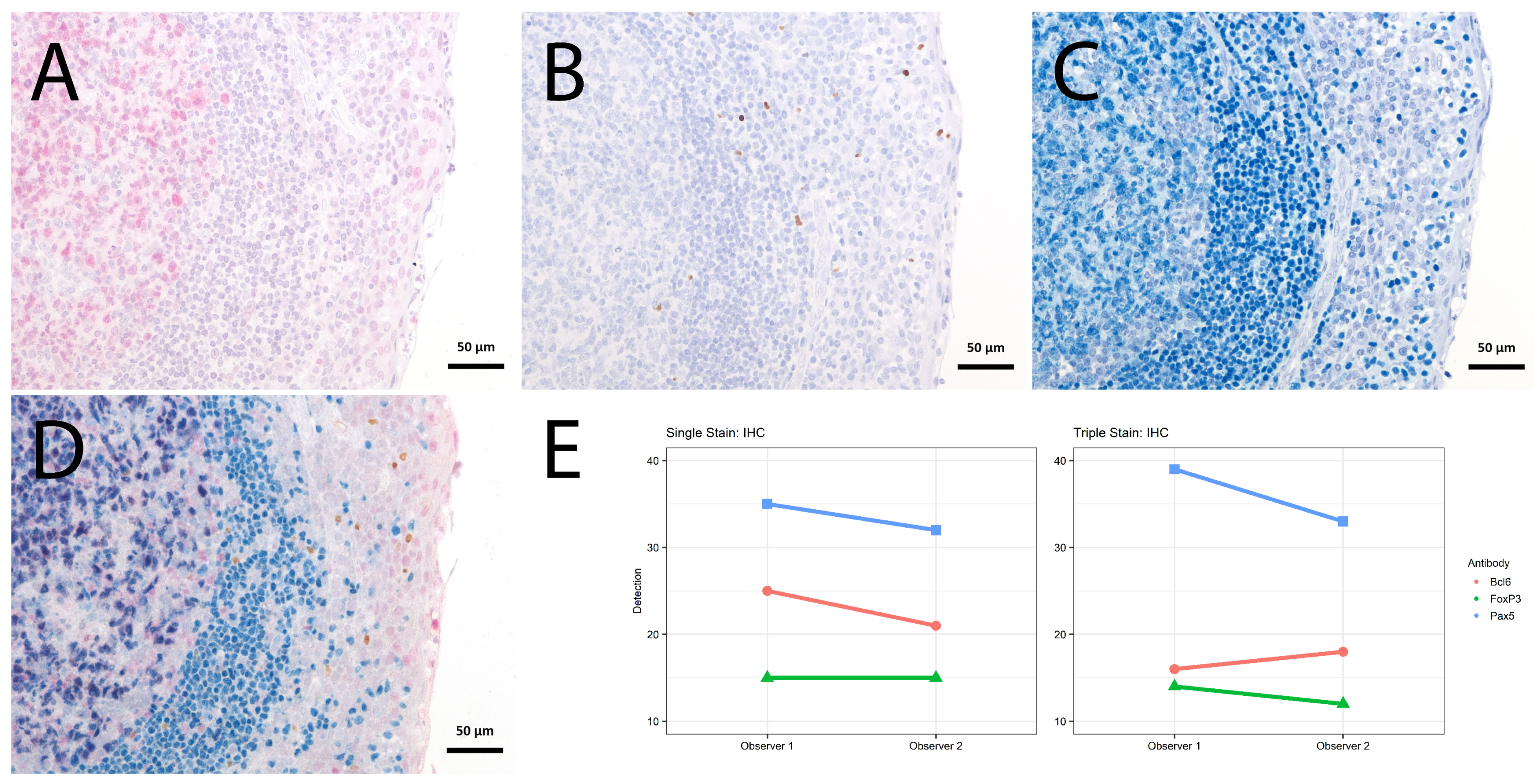 Ijms 23 00223 g004 550