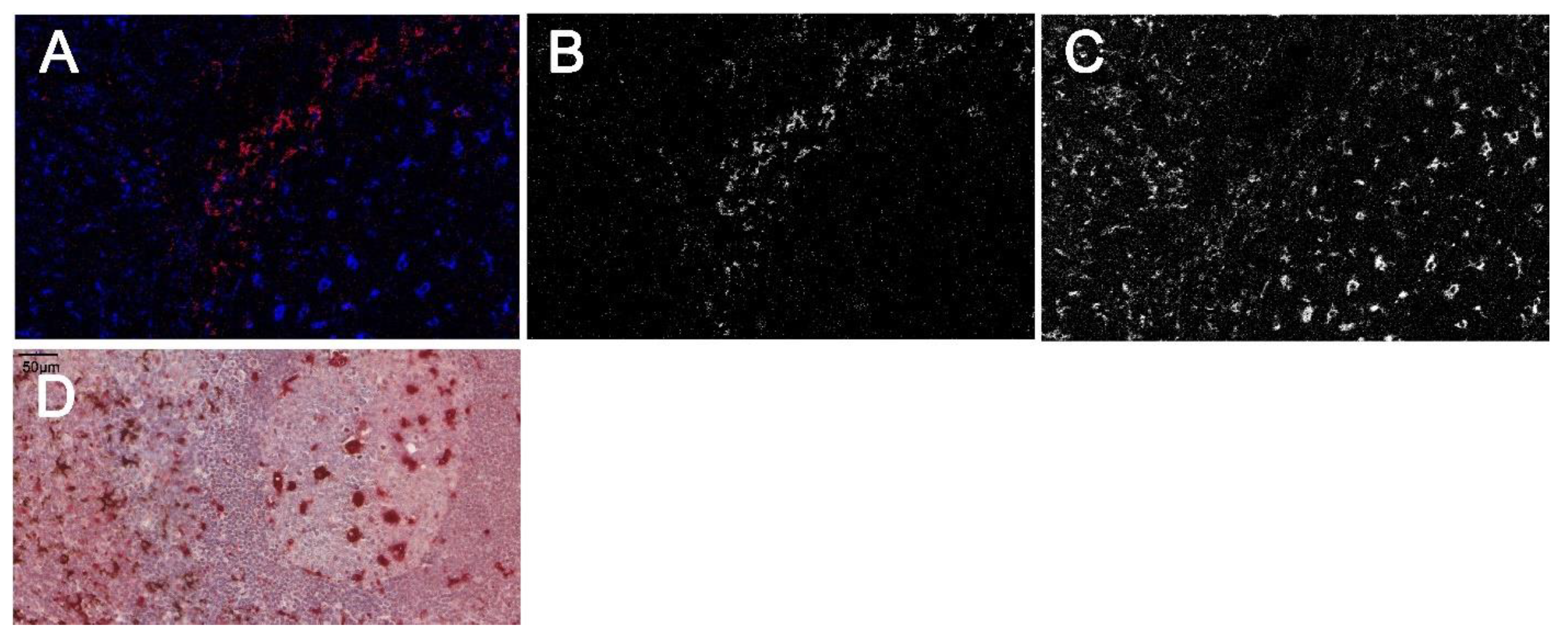 Ijms 23 00223 g005 550