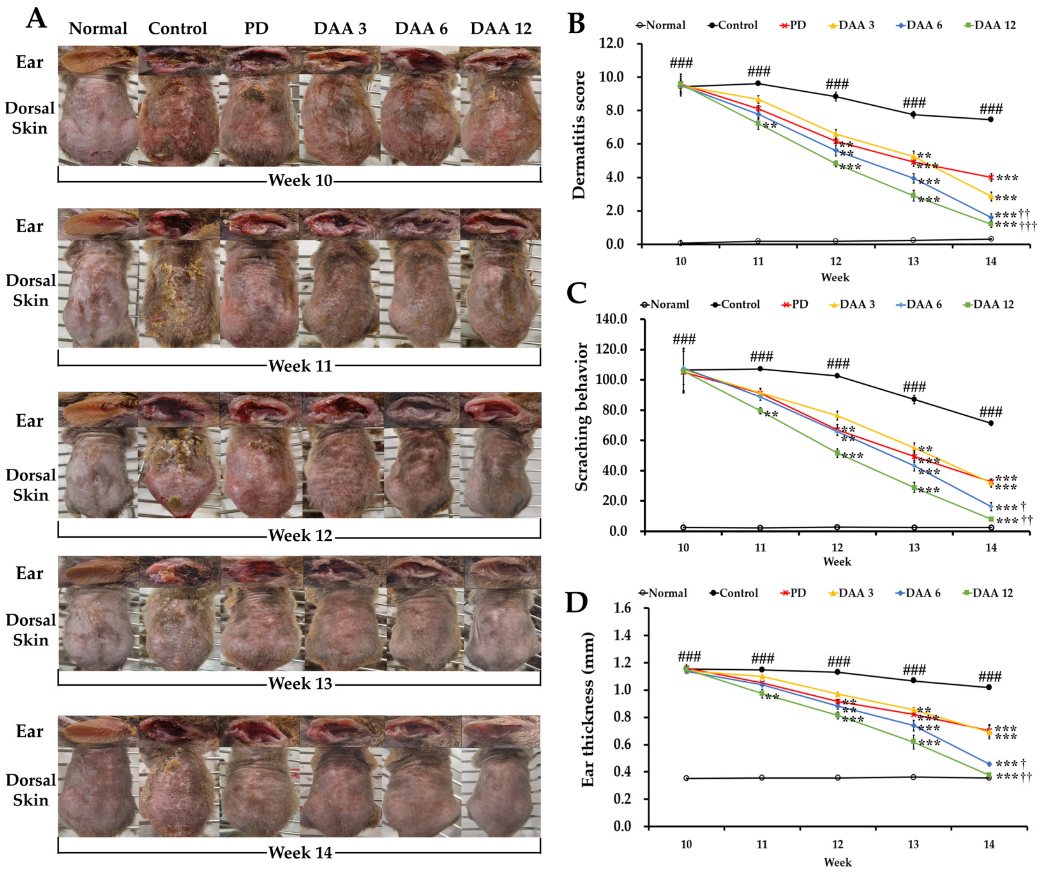 Ijms 23 00226 g001 550