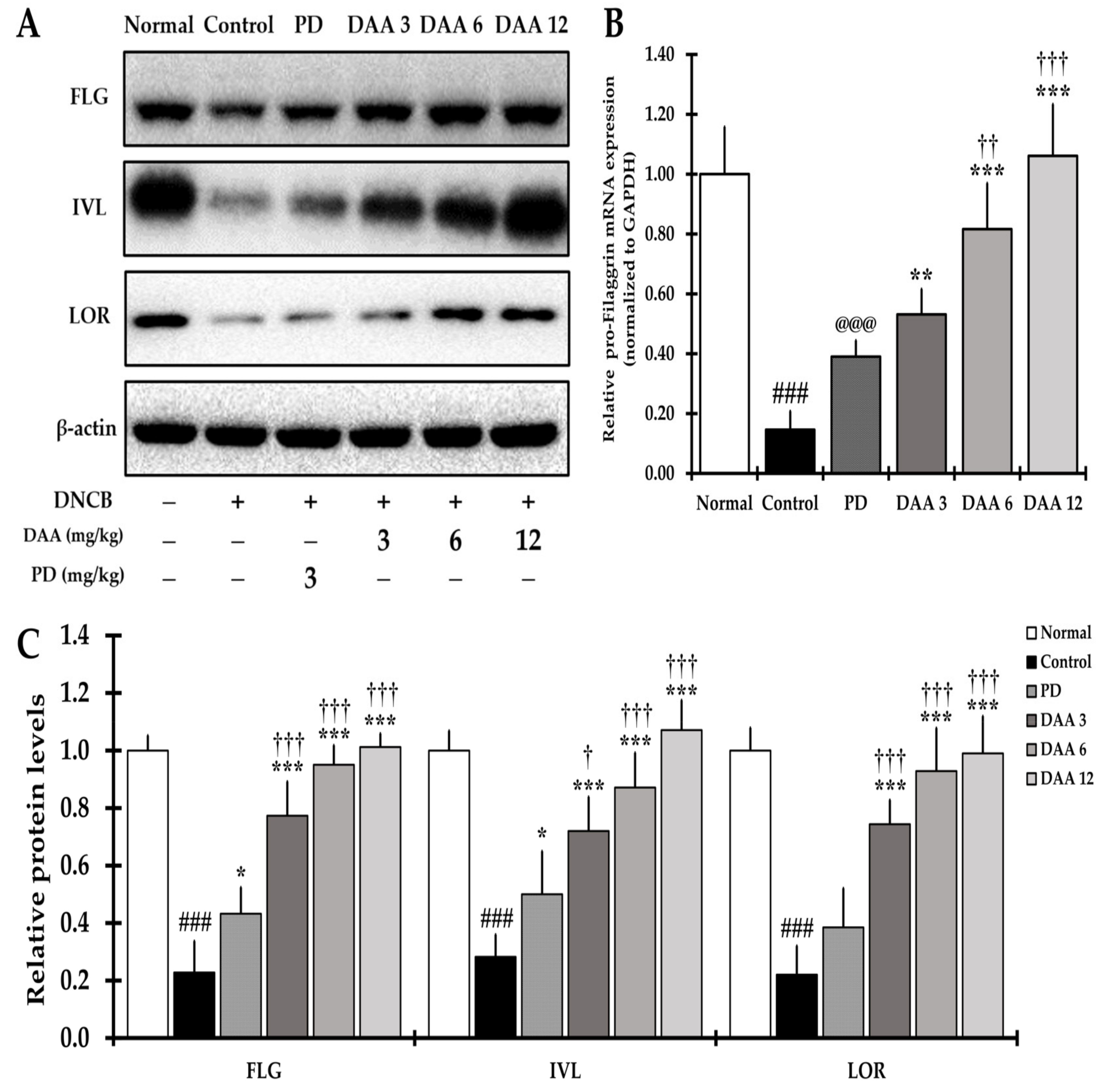 Ijms 23 00226 g009 550