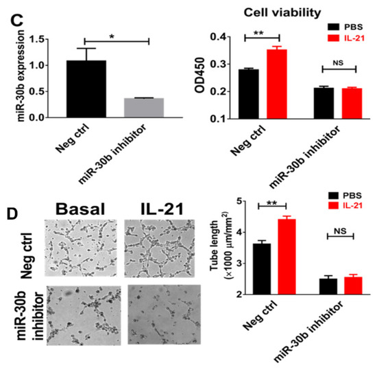 MicroRNA-30b Is Both Necessary and Sufficient for