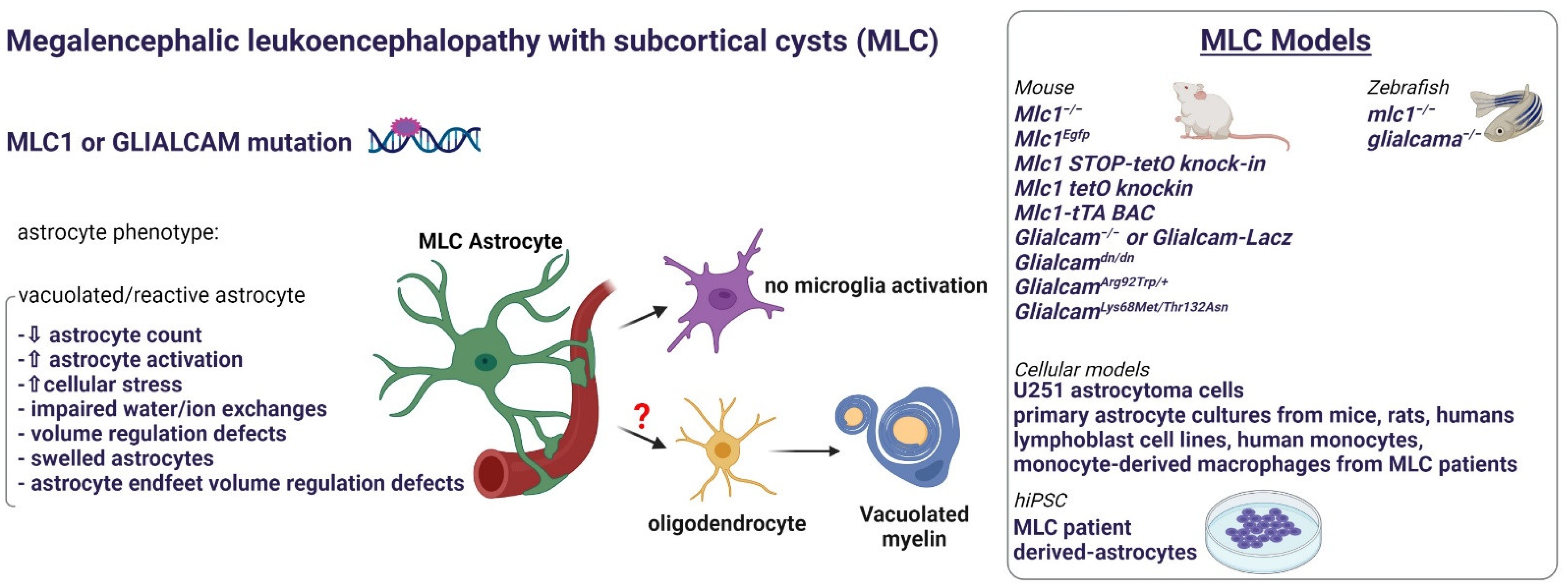 Ijms 23 00274 g003 550