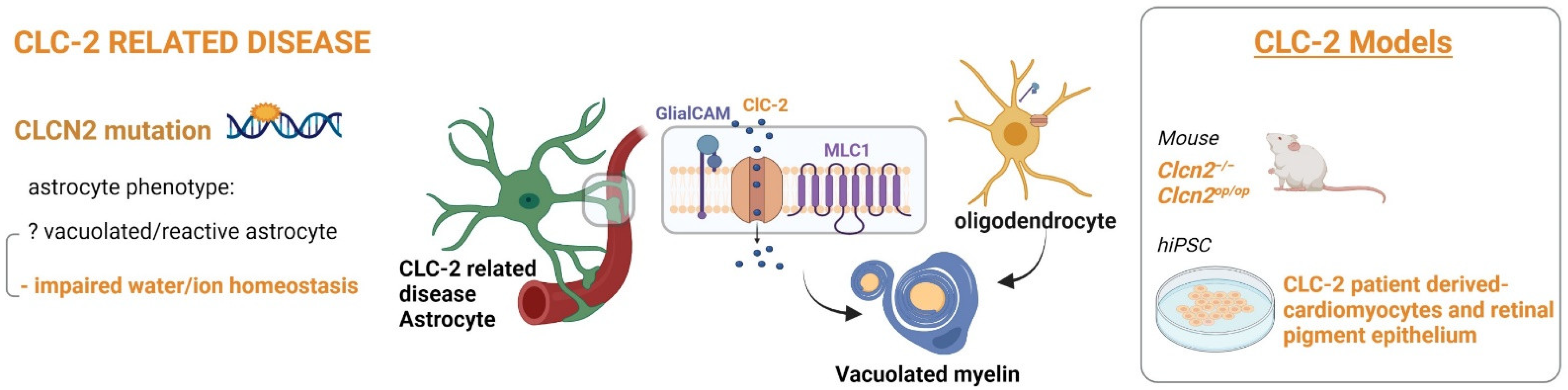 Ijms 23 00274 g006 550