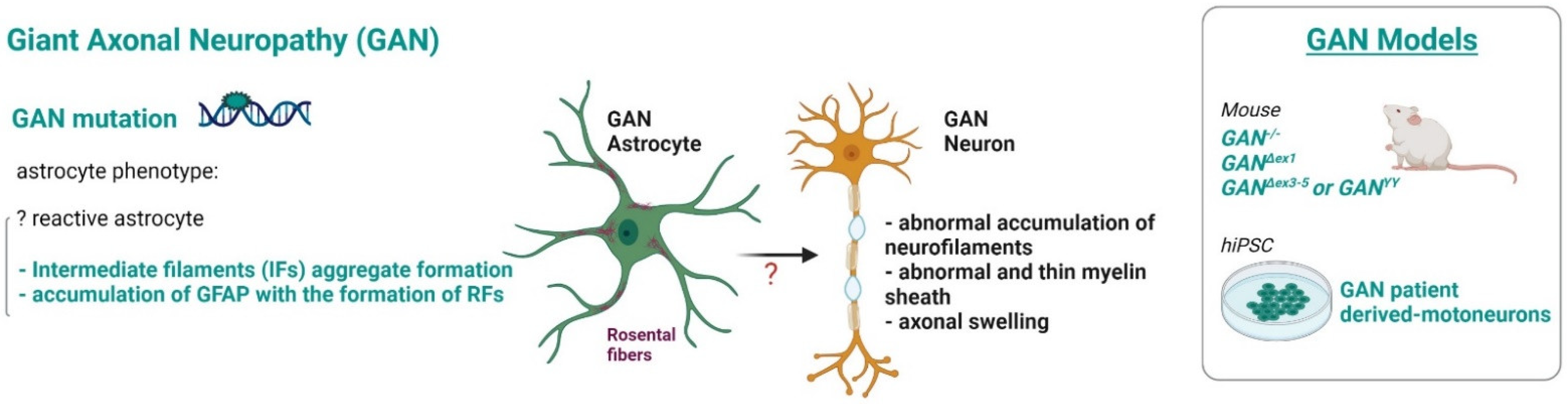 Ijms 23 00274 g008 550