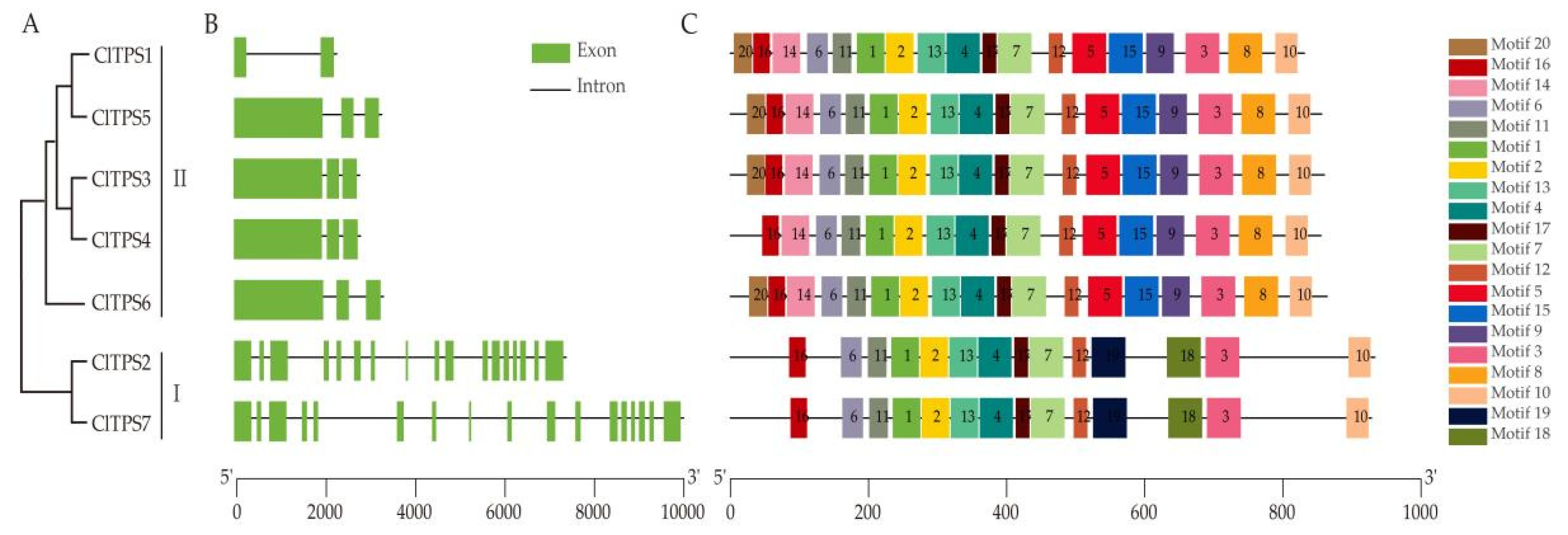 Ijms 23 00276 g003 550