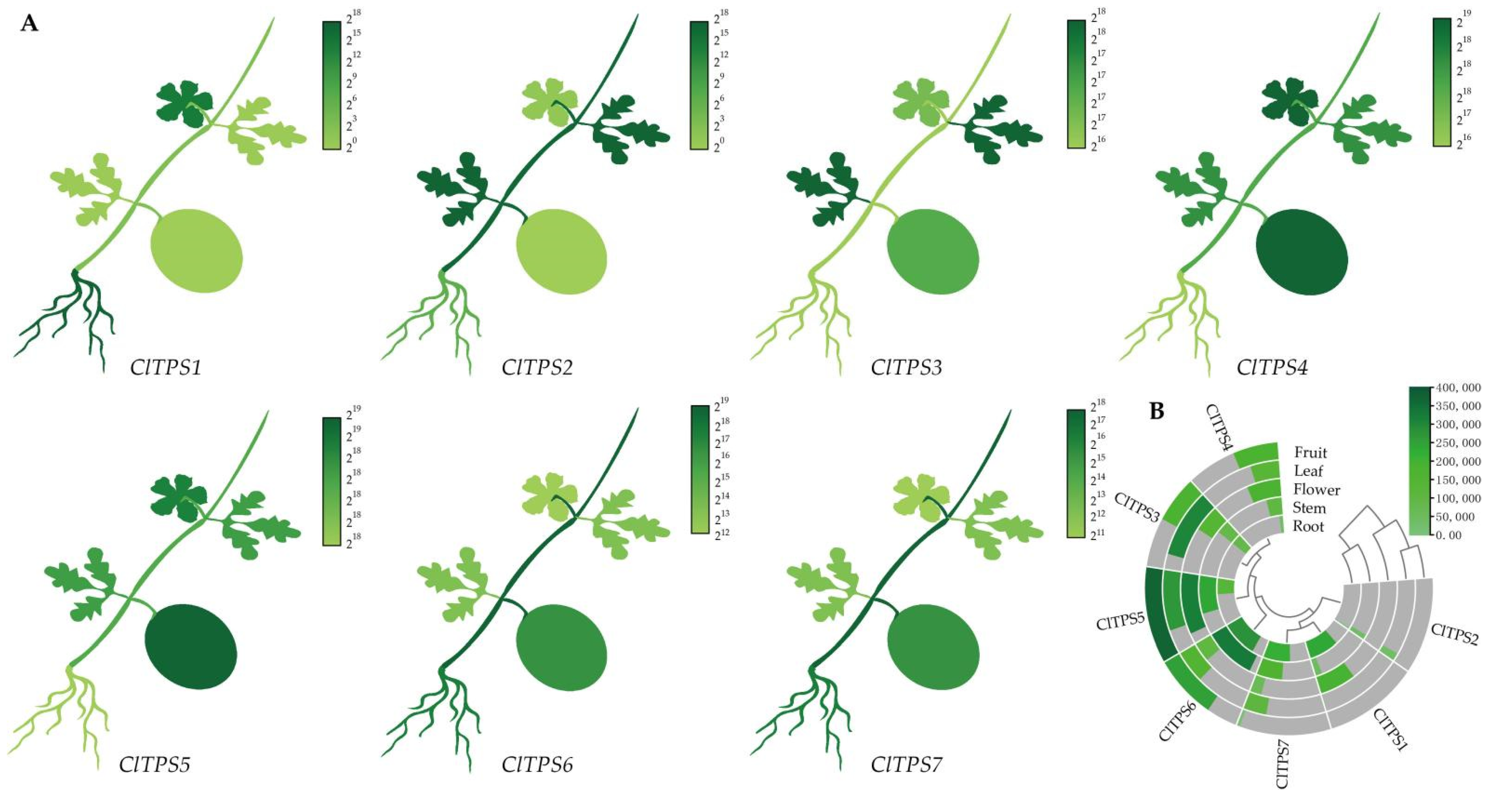 Ijms 23 00276 g005 550