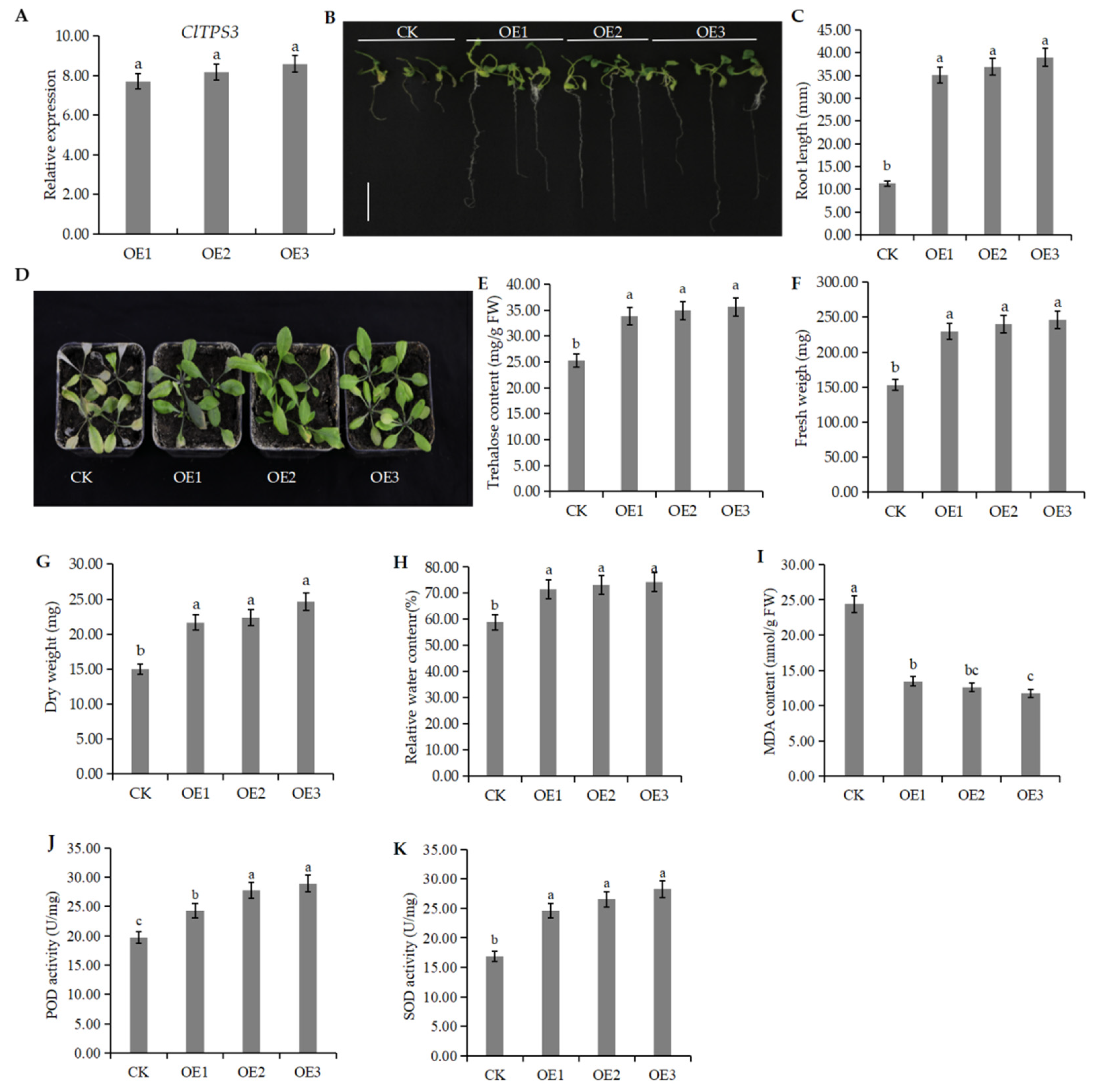 Ijms 23 00276 g008 550
