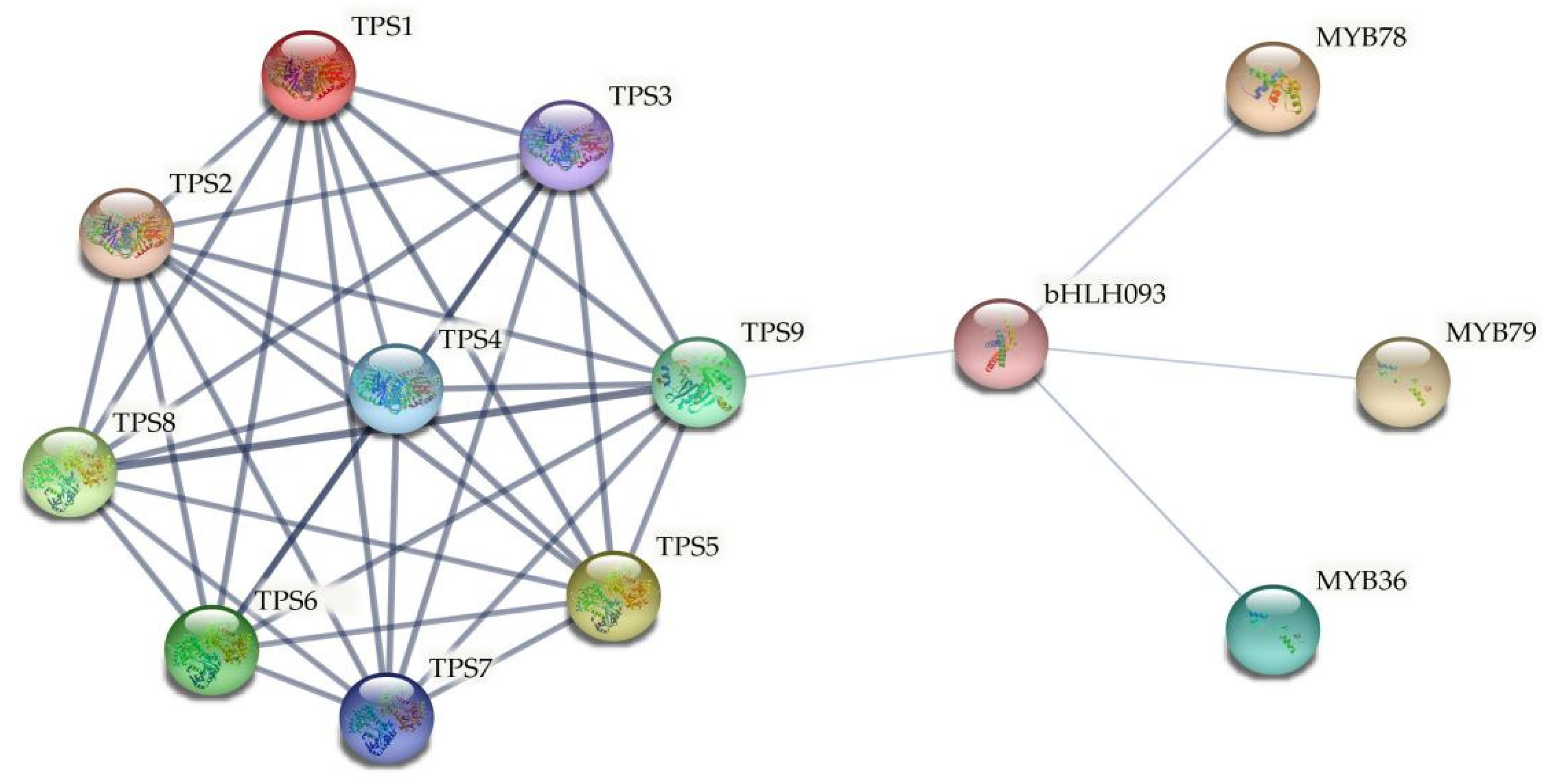 Ijms 23 00276 g009 550