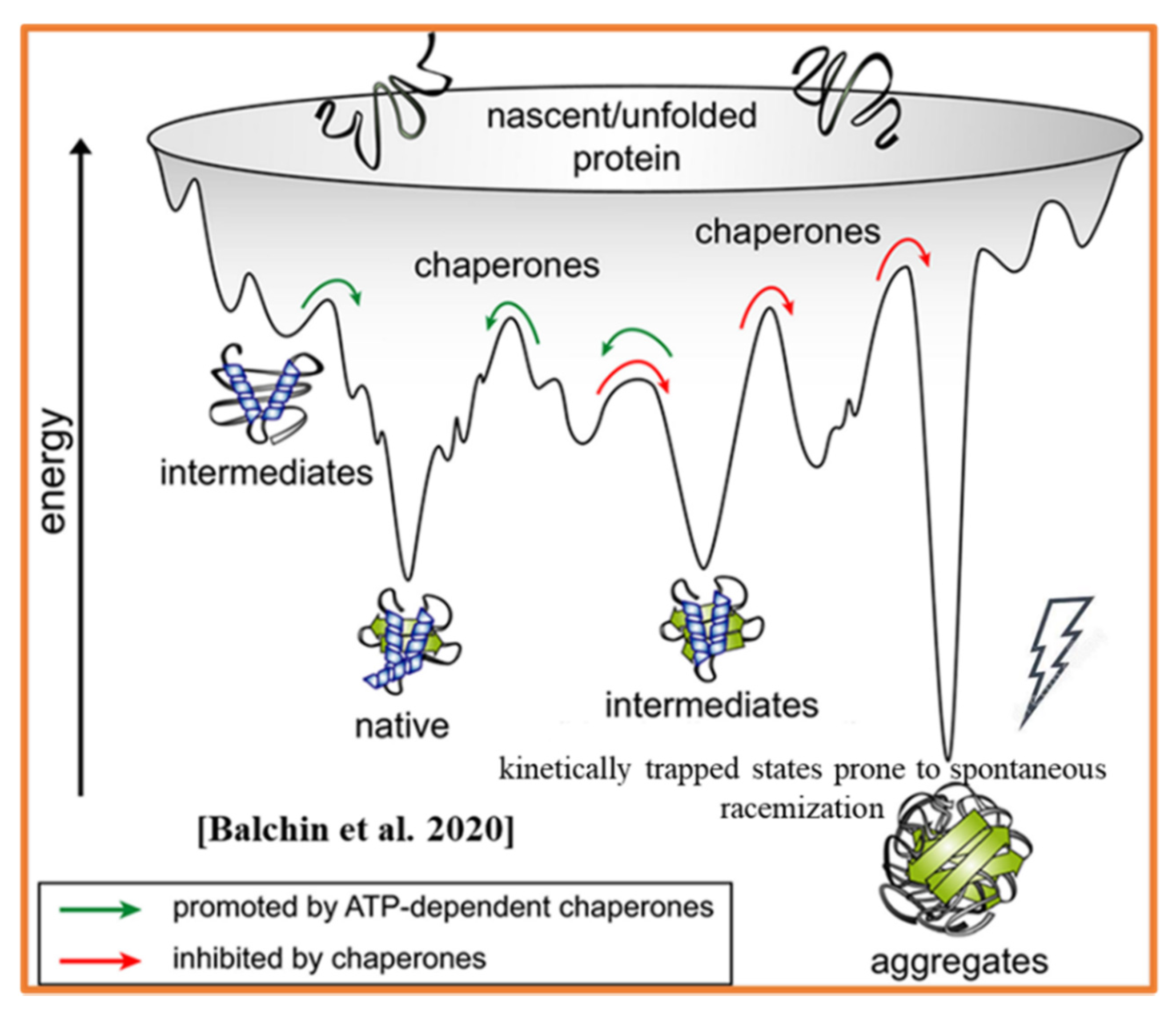 Ijms 23 00285 g001 Ijms 23 00285 g001