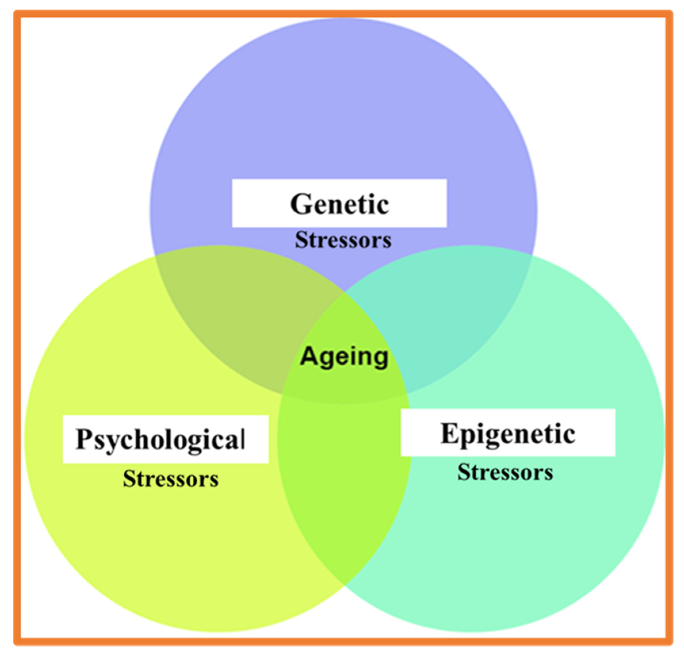 Ijms 23 00285 g002 Ijms 23 00285 g002