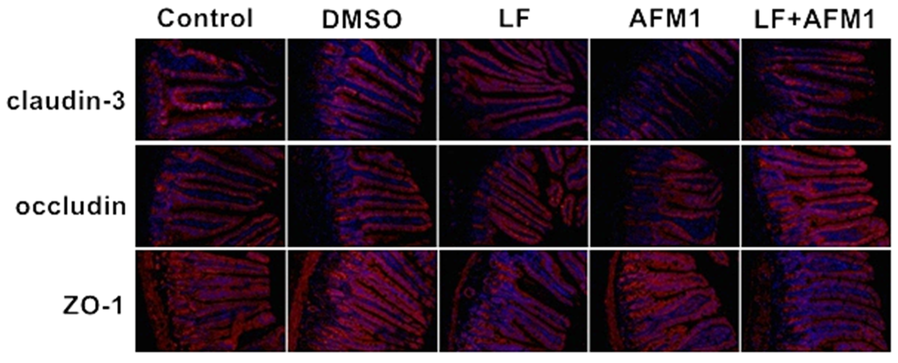 Ijms 23 00289 g003 550