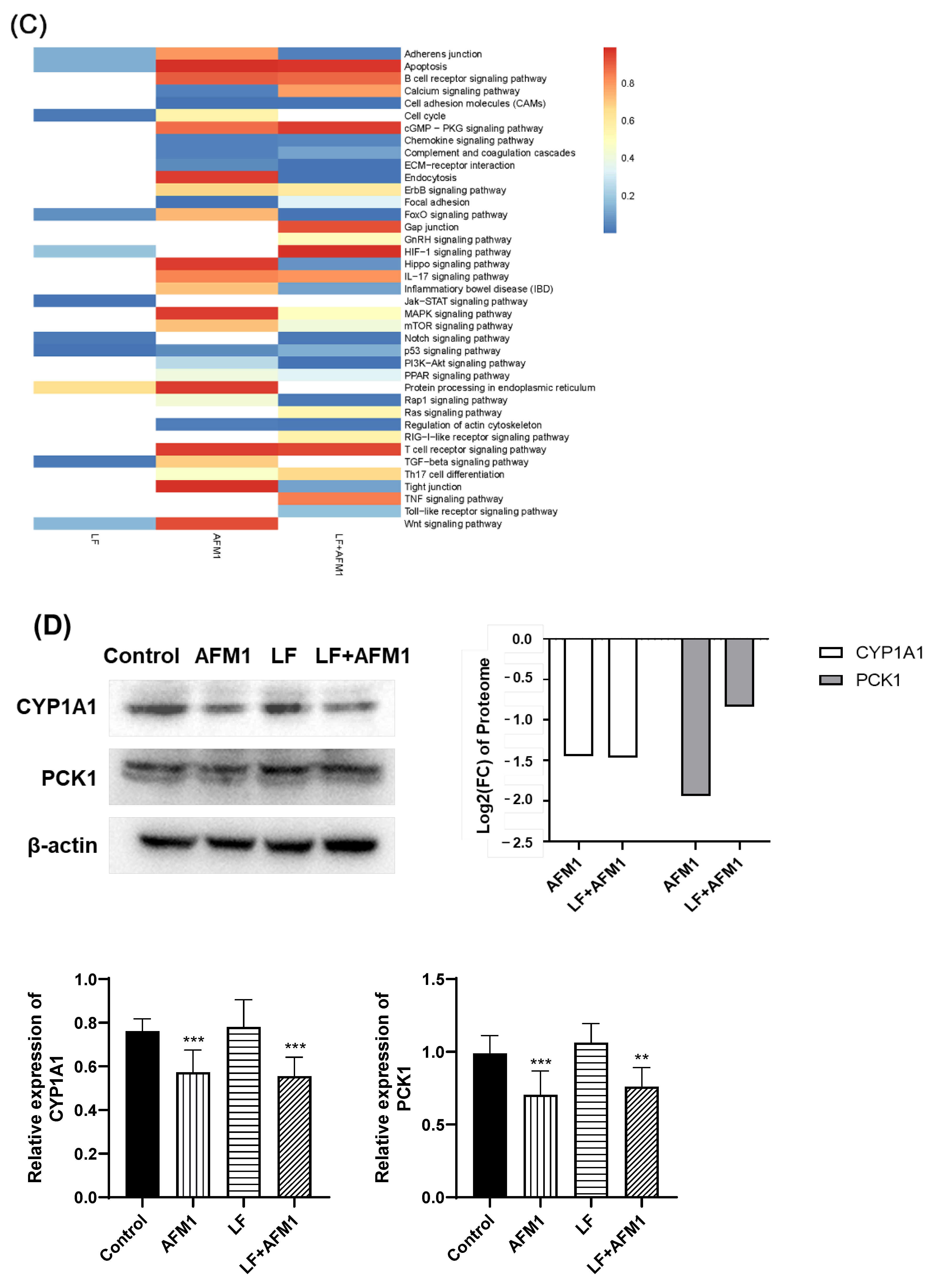 Ijms 23 00289 g006b 550