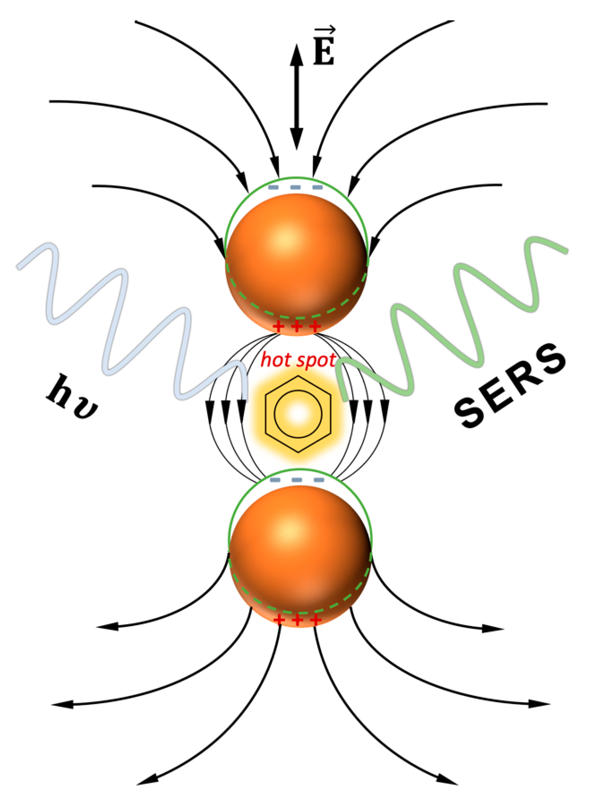 Ijms 23 00291 g001 550