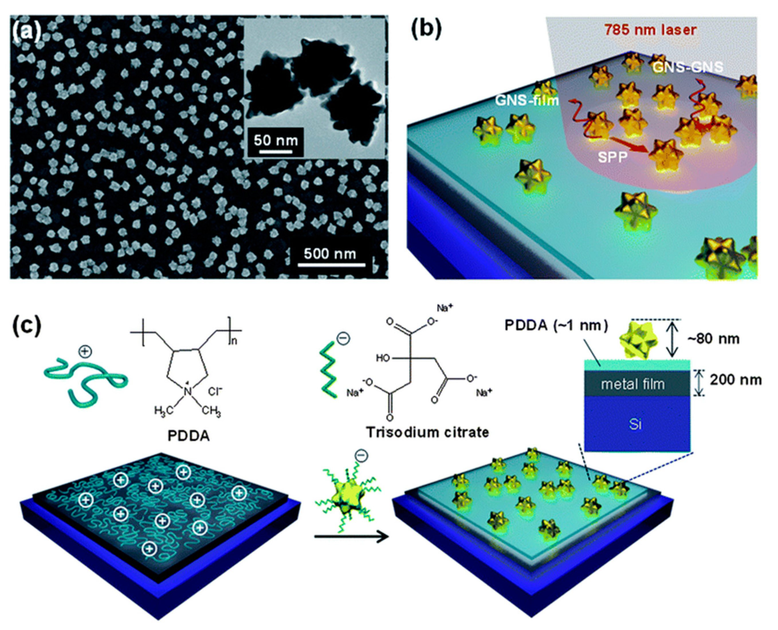 Ijms 23 00291 g003 550