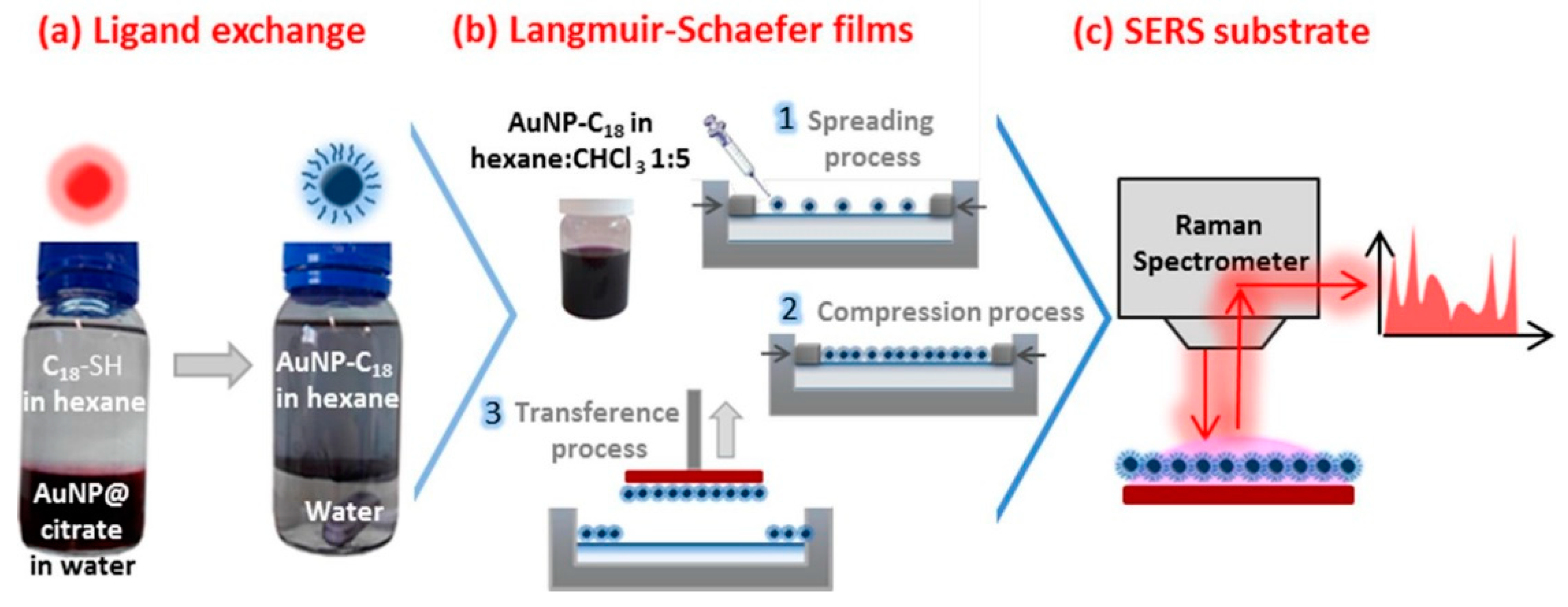 Ijms 23 00291 g005 550