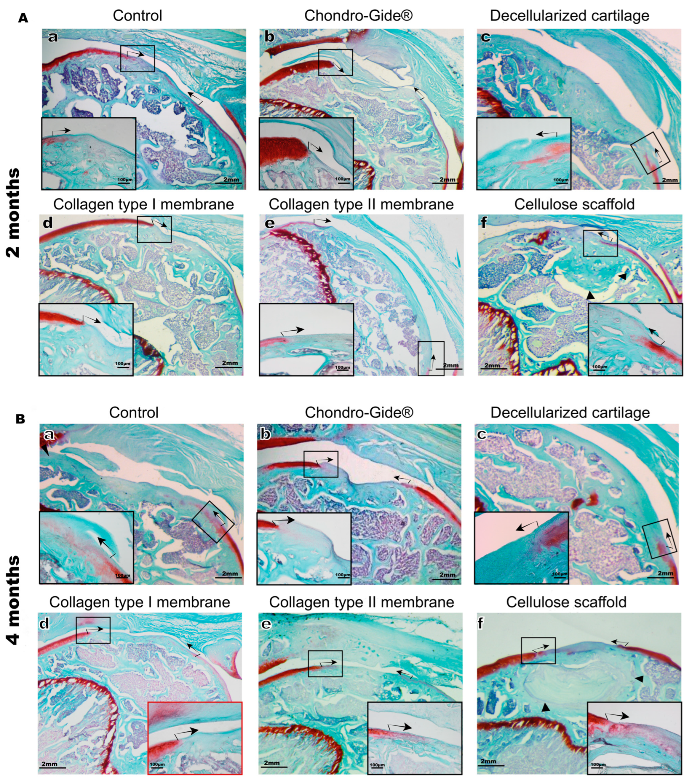 Ijms 23 00292 g004 550