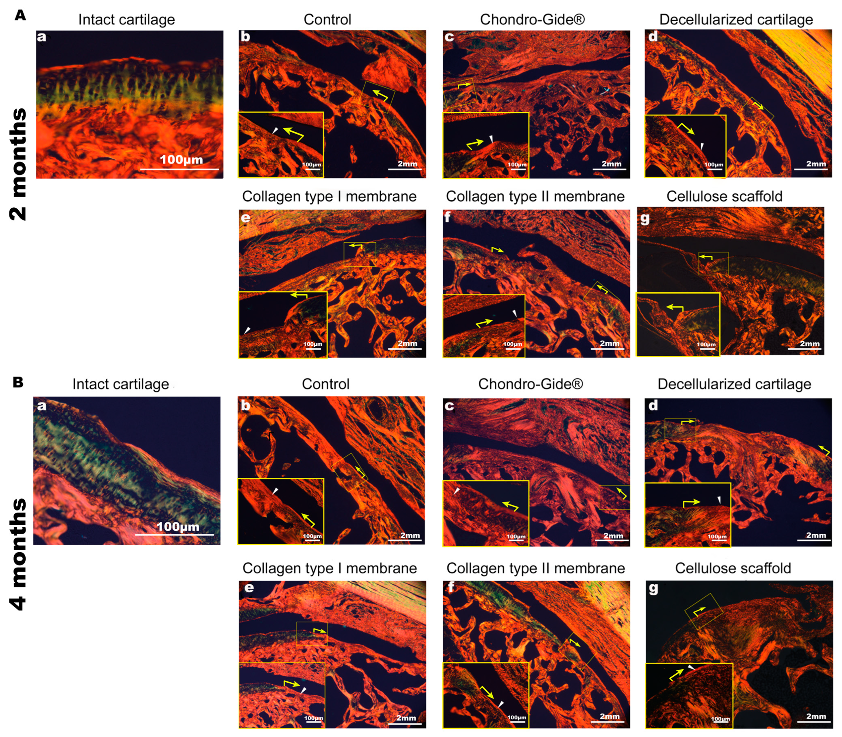 Ijms 23 00292 g005 550