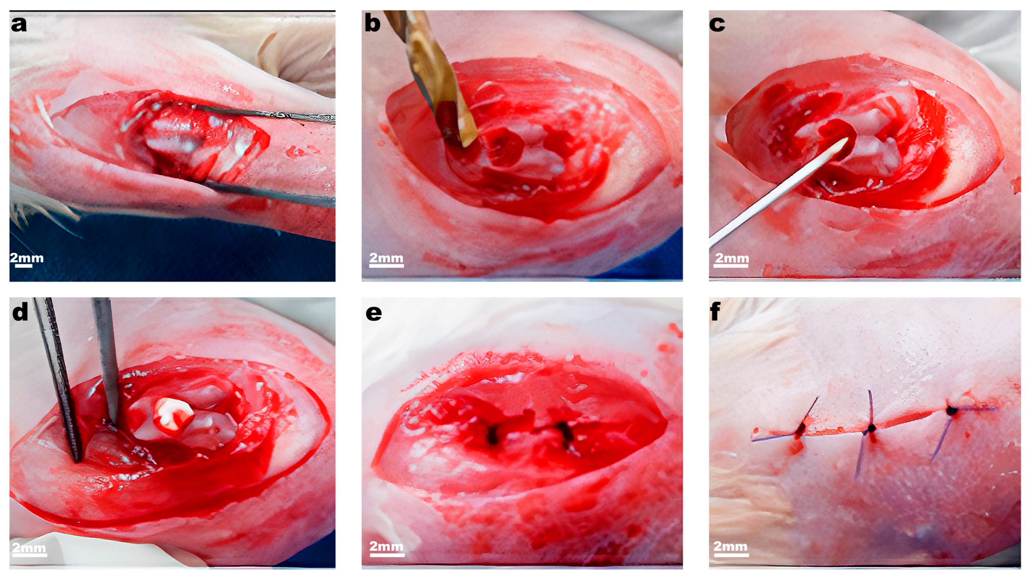 Ijms 23 00292 g006 550